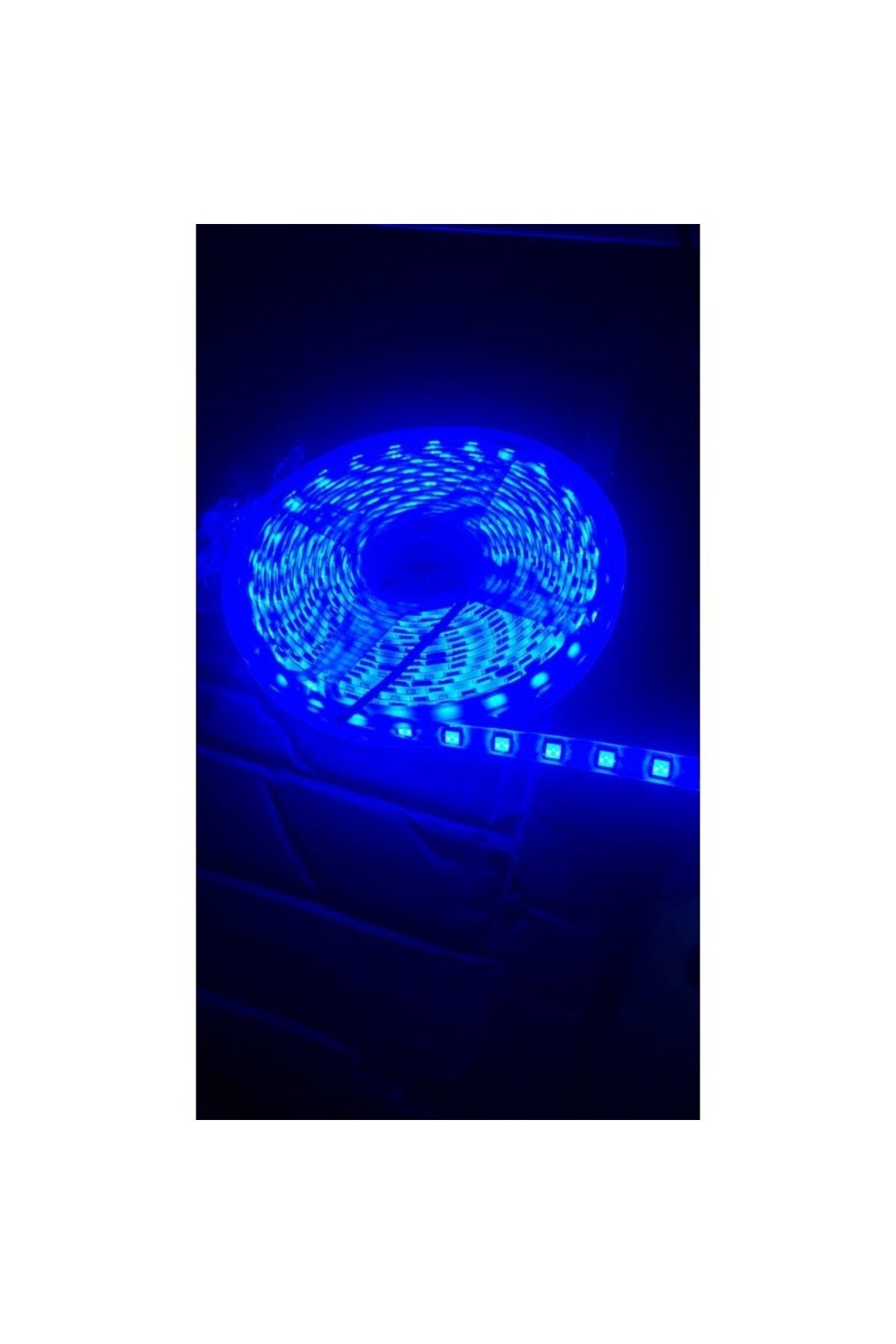 ERM 24V Şerit LED 5050 Çip IP65 Su Geçirmez Dış Mekan Aydınlatma – Mavi Işık (5 Metre)