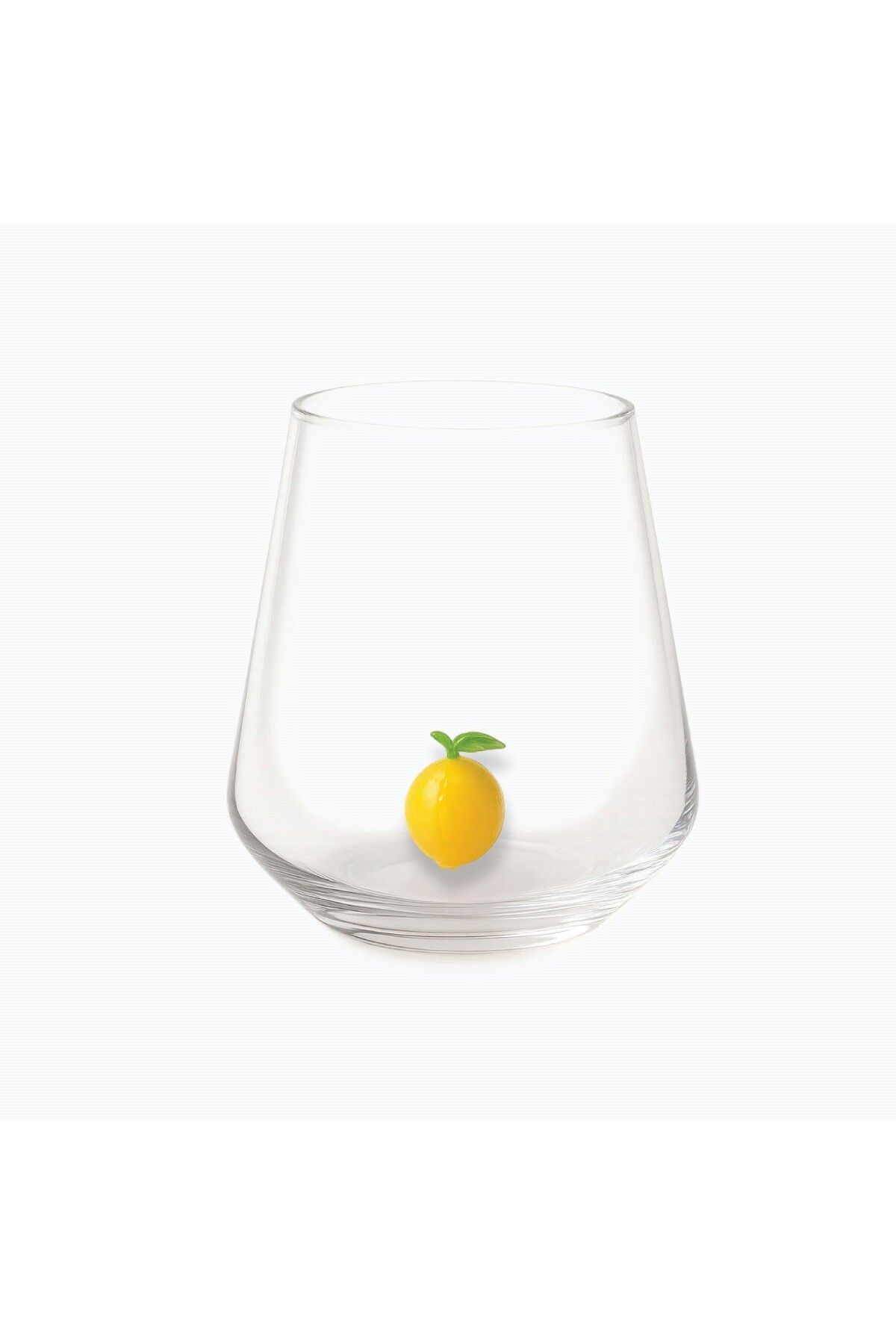 FernCo Bon App Collection Water Glass