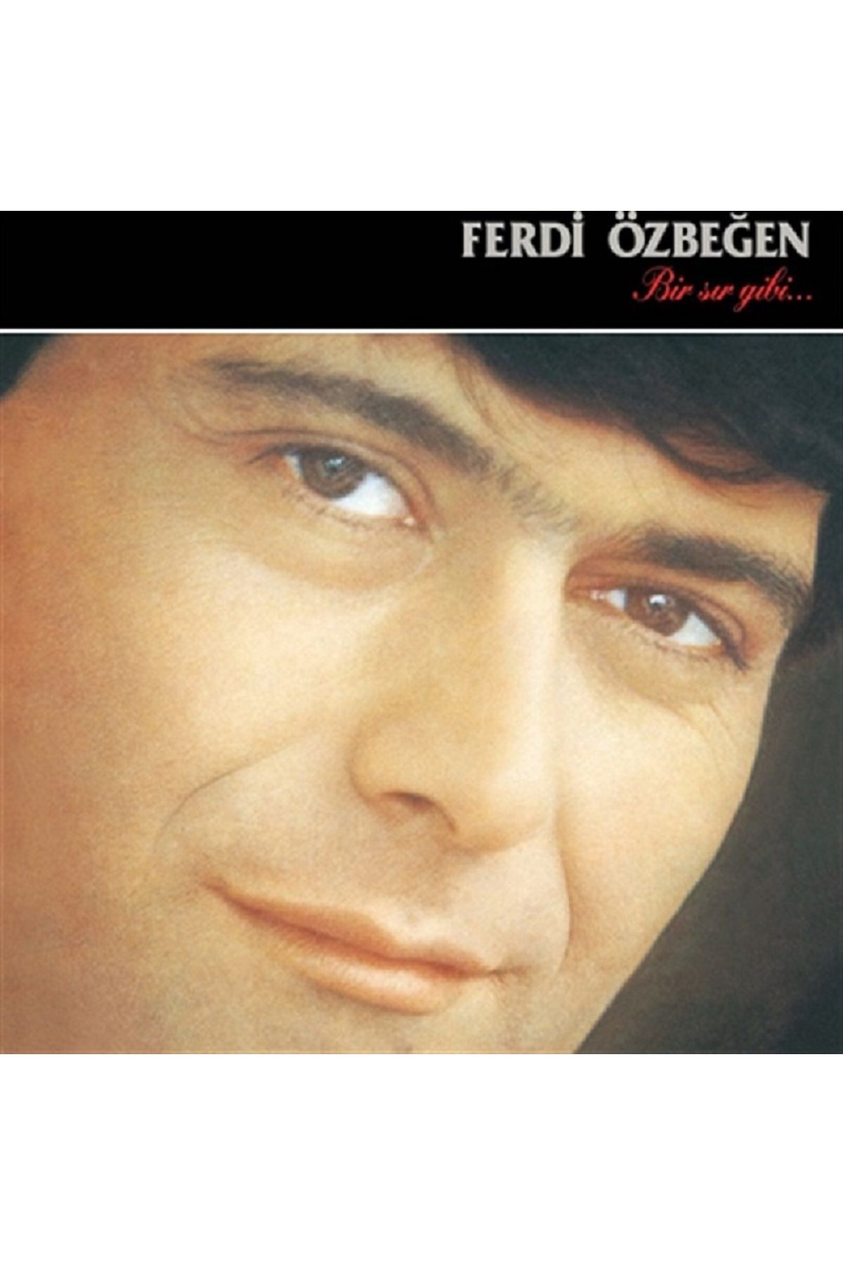 HEY PLAK BOLU FERDİ ÖZBEĞEN BİR SIR GİBİ 33 LÜK PLAK