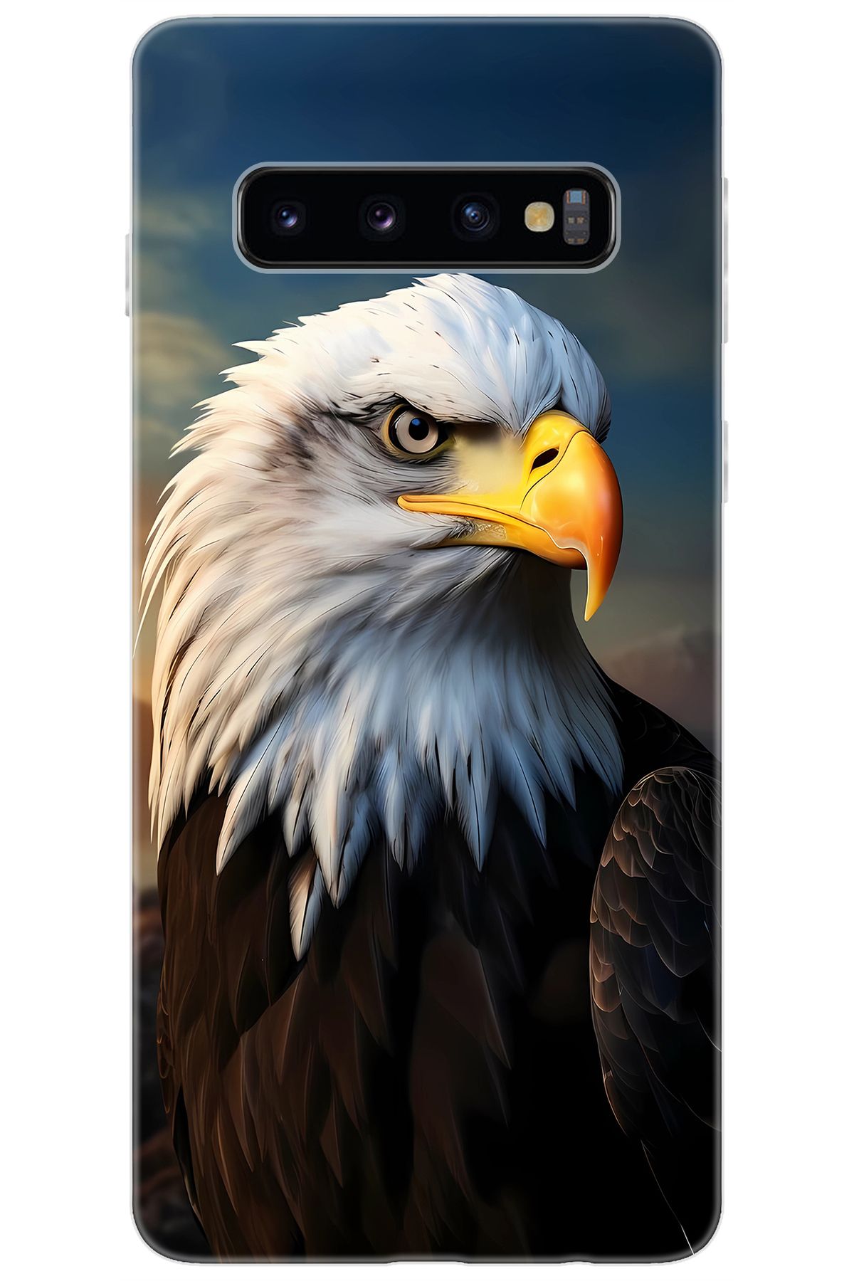 Ceppare Samsung Galaxy S10 (SM-G973F) Uyumlu Kılıf Desen Baskılı Silikon Kartal STK:687 CP-OJzalzo