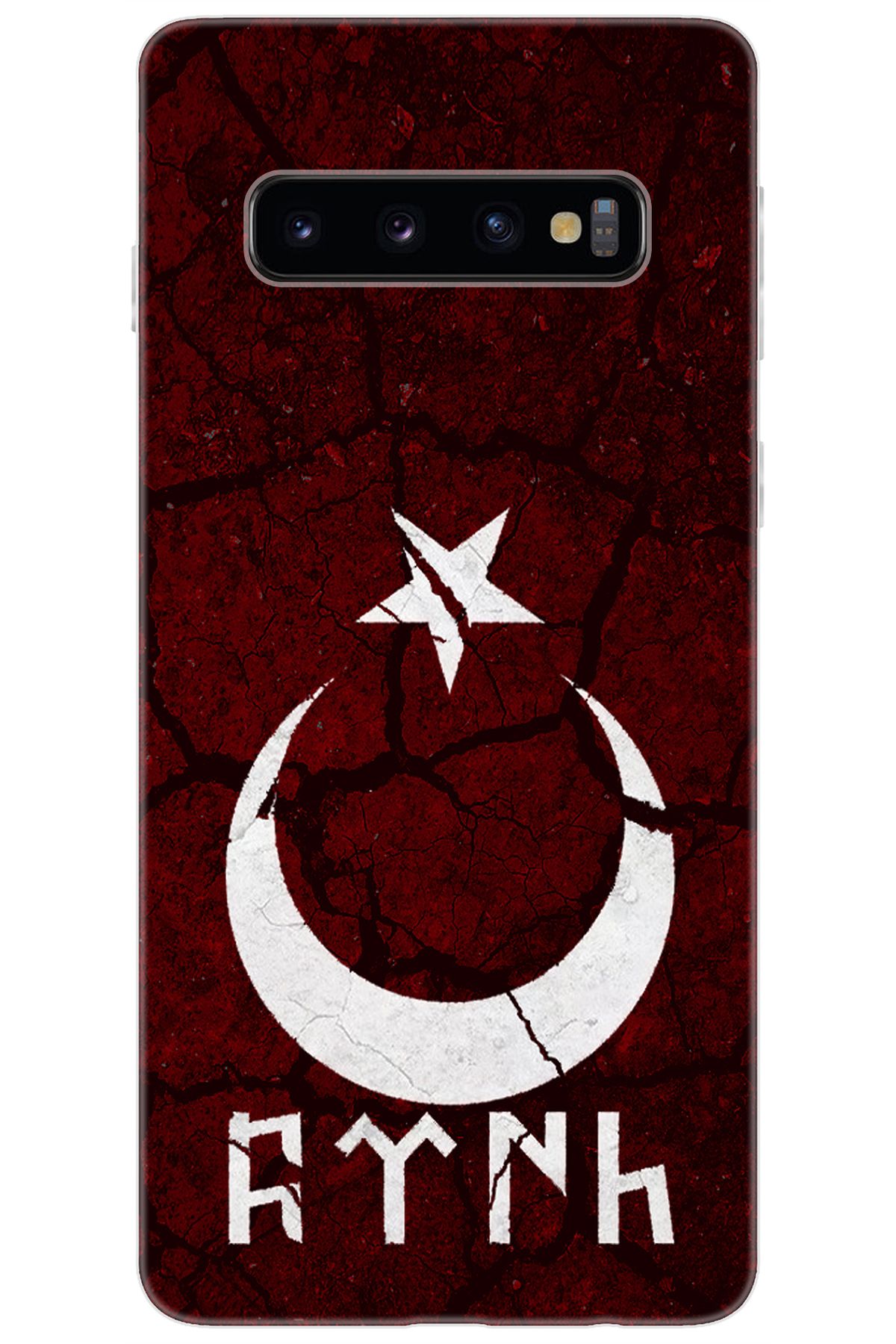 Ceppare Samsung Galaxy S10 (SM-G973F) Uyumlu Kılıf Desen Baskılı Silikon Göktürkçe Türk STK:386 CP-KWHX2o8