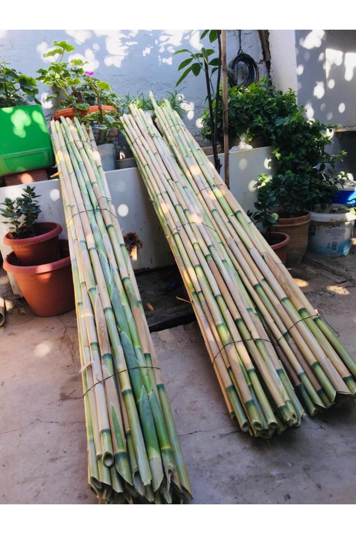 Organik Köylü Bambu Fidan Bitki Destek Çubuğu 200 Cm 20 Adet (FİDE, FİDAN, DOMATES ve FASULYE)