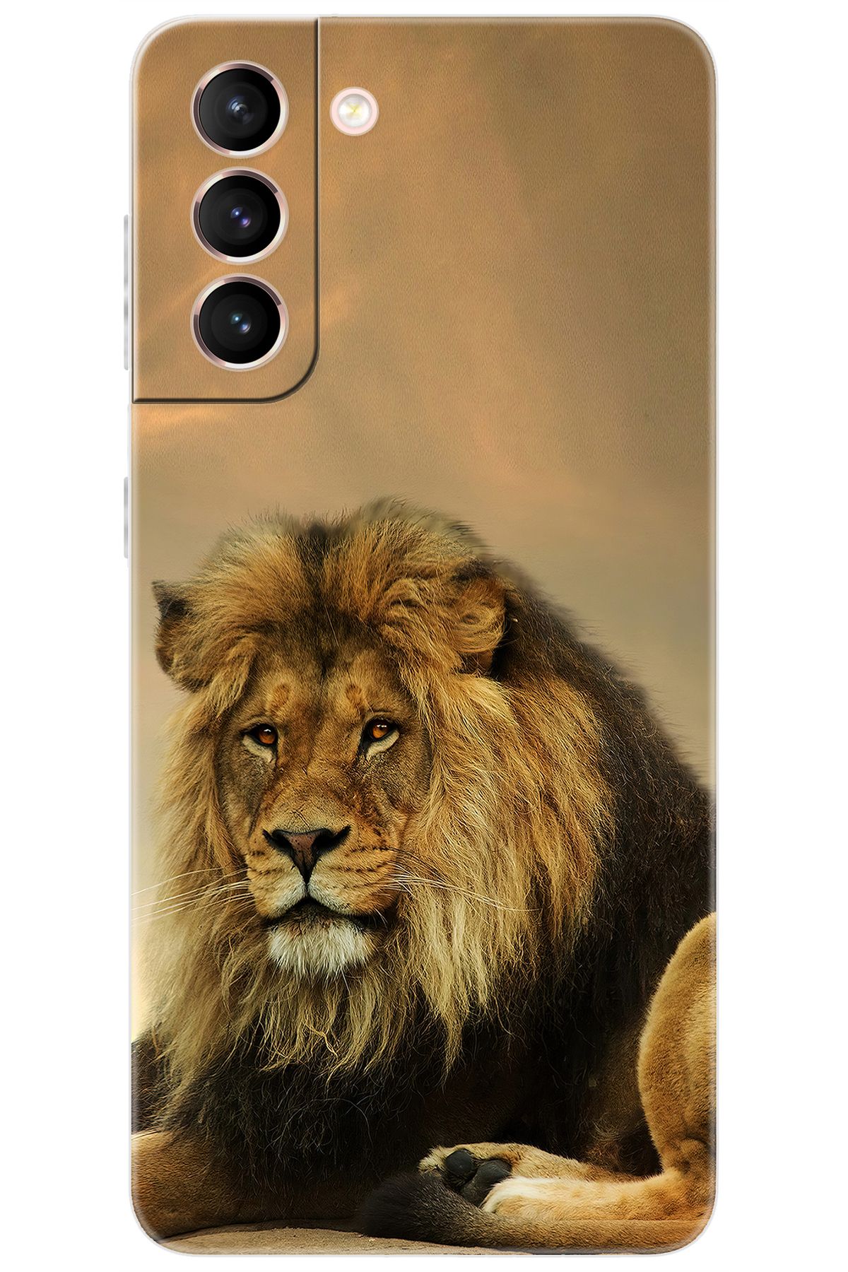Ceppare Samsung Galaxy S21 (SM-G991B) Uyumlu Kılıf Desen Baskılı Silikon Kral Aslan STK:207 CP-WGBP3uH