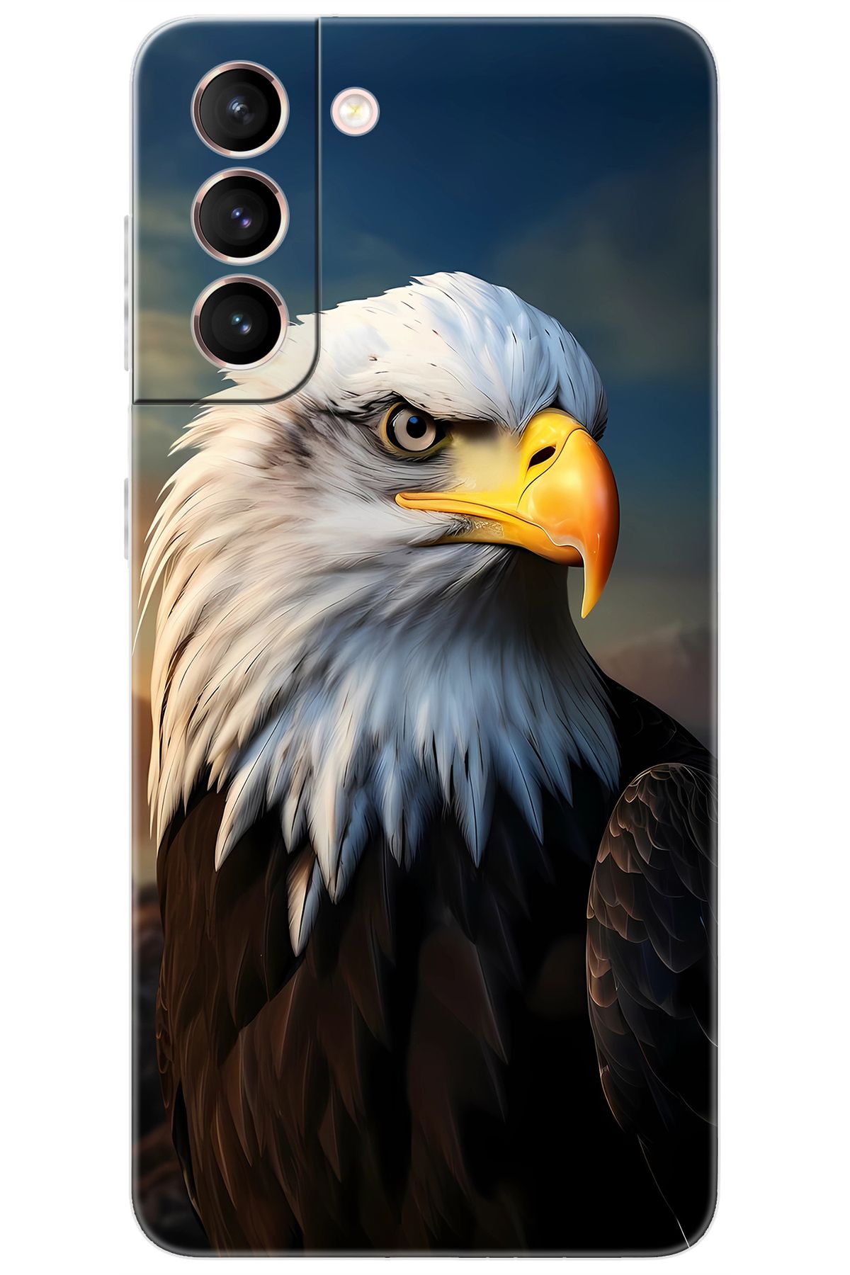 Ceppare Samsung Galaxy S21 (SM-G991B) Uyumlu Kılıf Desen Baskılı Silikon Kartal STK:687 CP-2bQKBr6