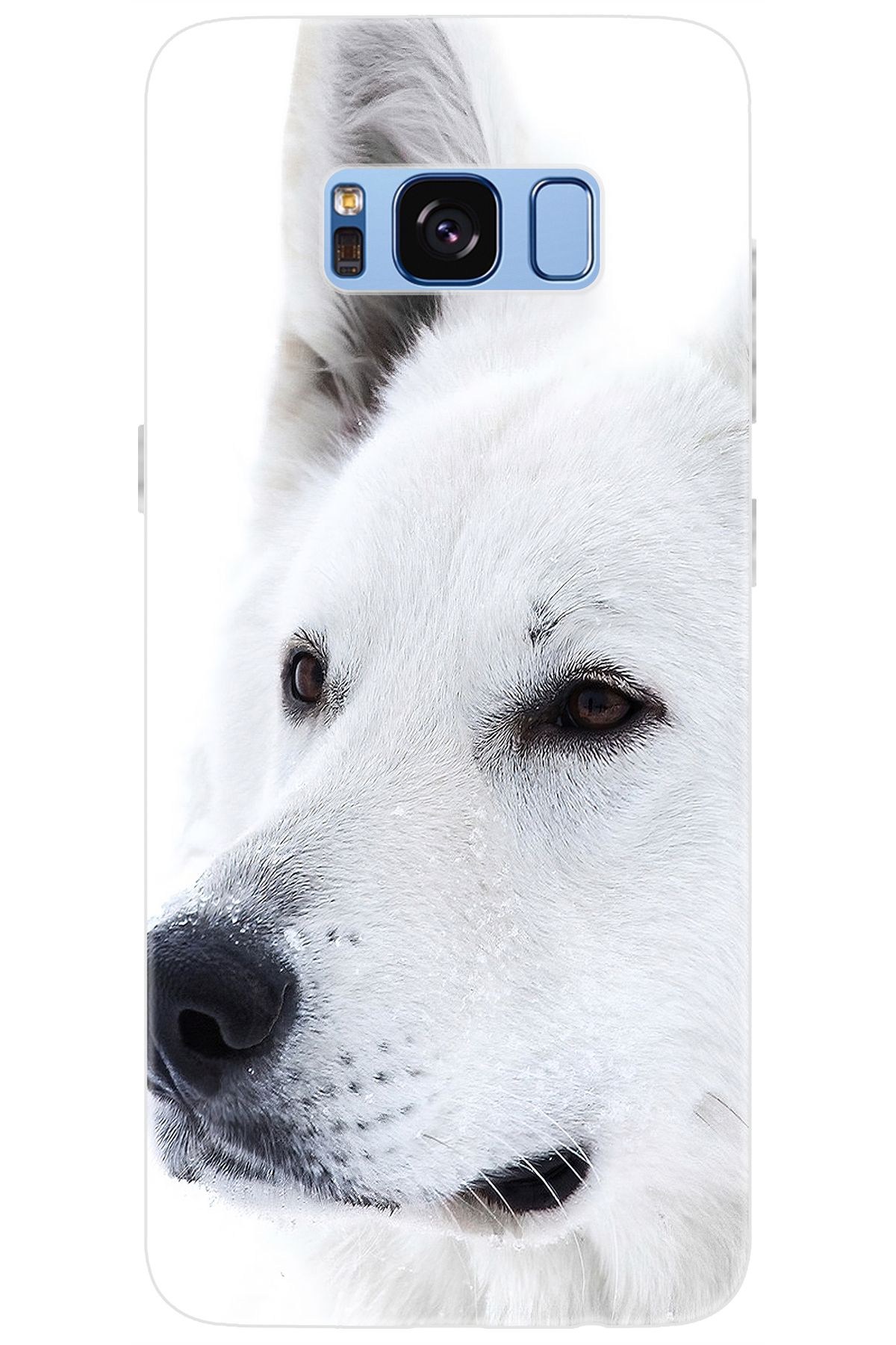 Ceppare Samsung Galaxy S8 (SM-G950F) Uyumlu Kılıf Desen Baskılı Silikon Beyaz Kurt STK:169 CP-ORrRBFa