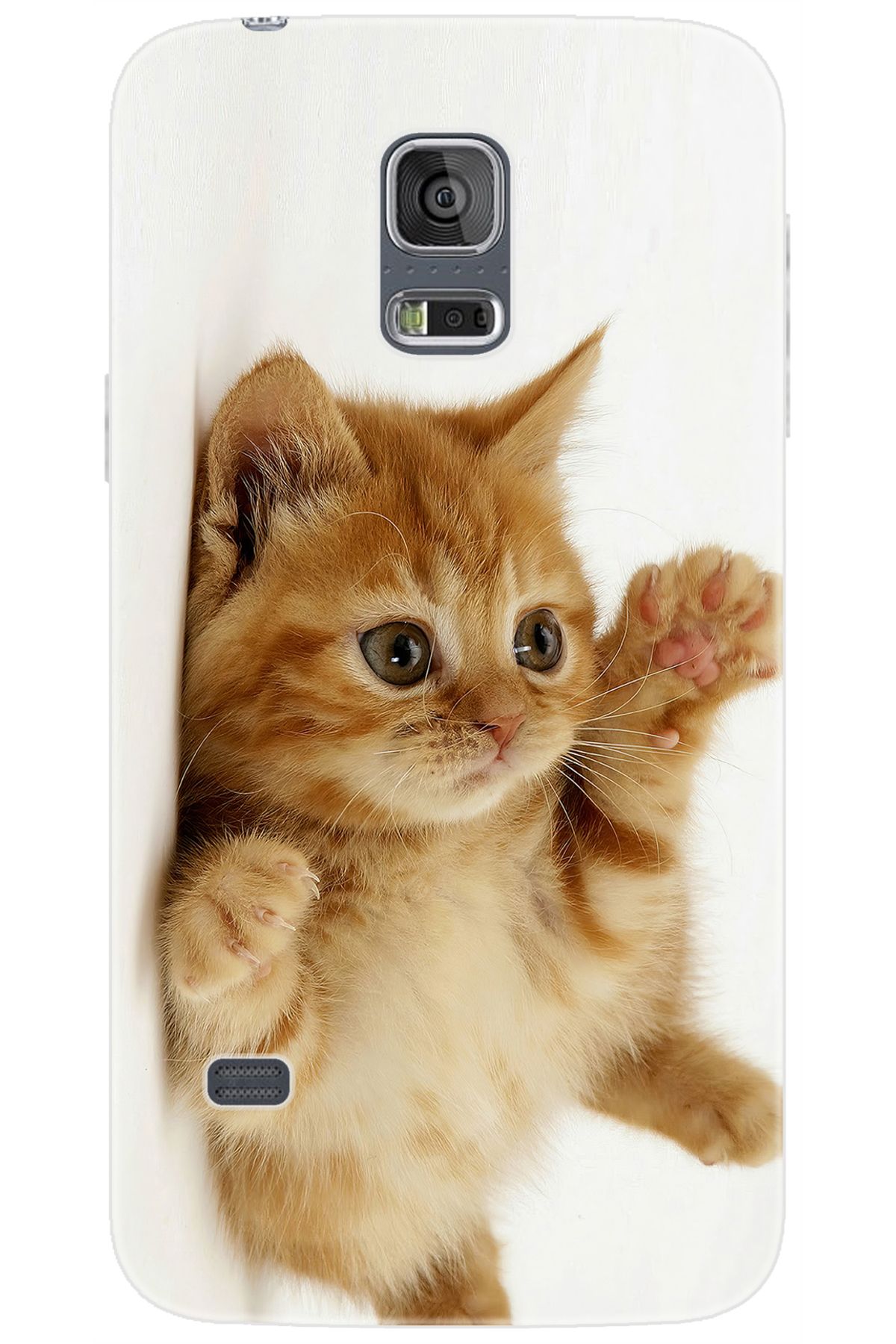 Ceppare Samsung Galaxy S5 (SM-G900F) Uyumlu Kılıf Desen Baskılı Silikon Sevimli Kedi STK:205 CP-MjrOAqm