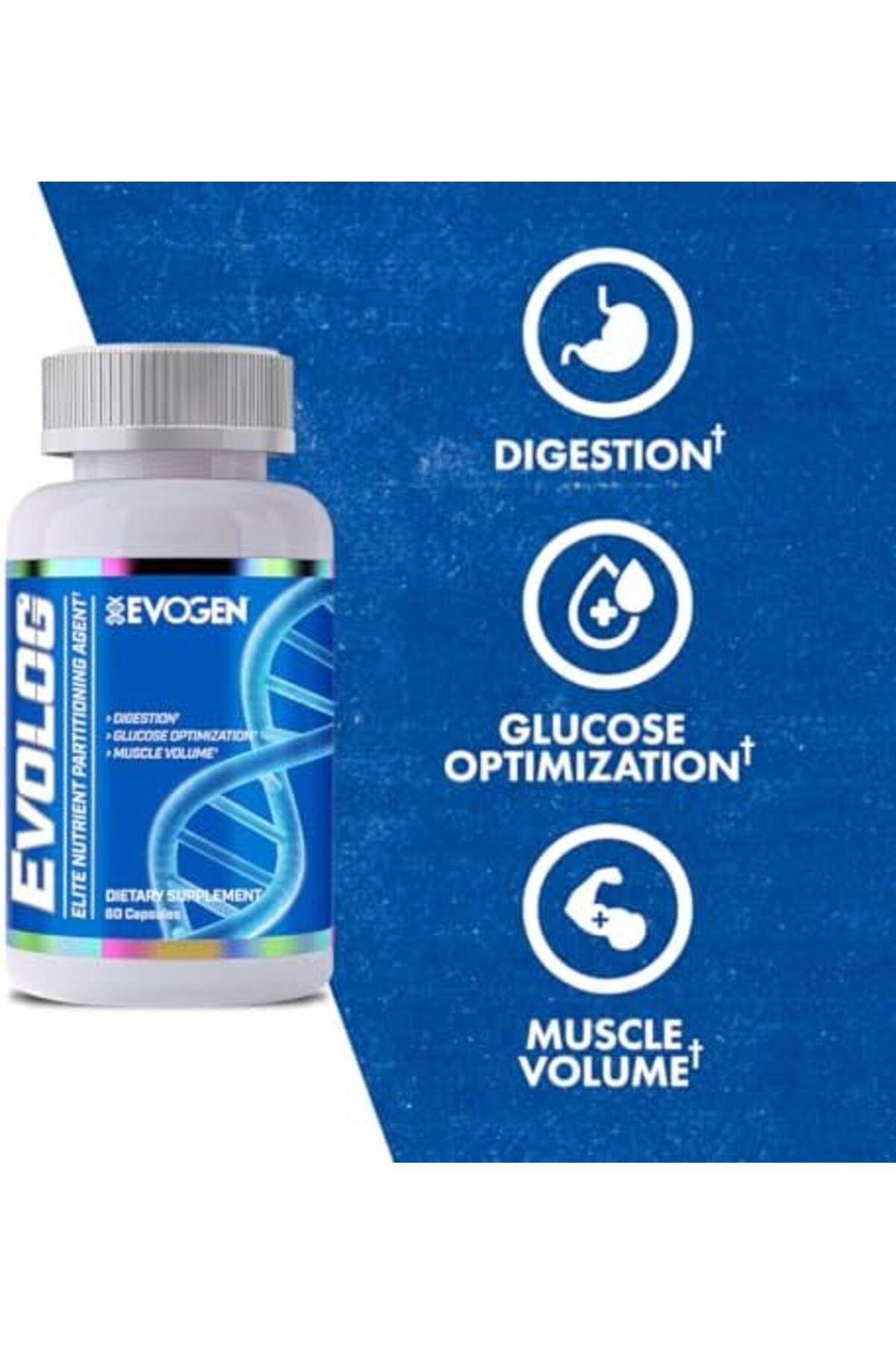 EVOGEN-Evolog, Advanced Nutrient Partioning Agent, Glucevia Fraxinus Angustifolia Extract, GlucoVant 3