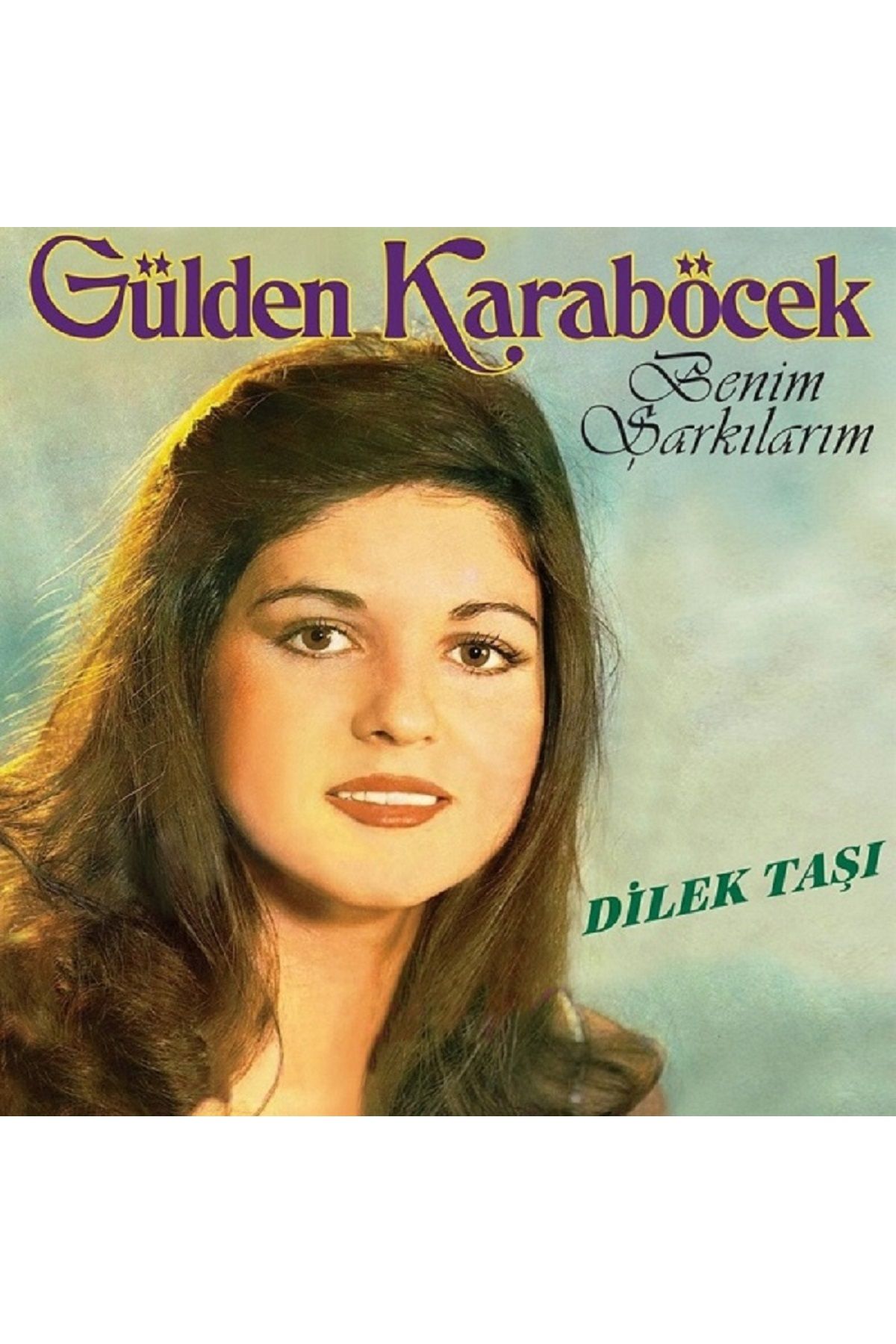 HEY PLAK BOLU GÜLDEN KARABÖCEK BENİM ŞARKILARIM DİLEKTAŞI 33 LÜK PLAK