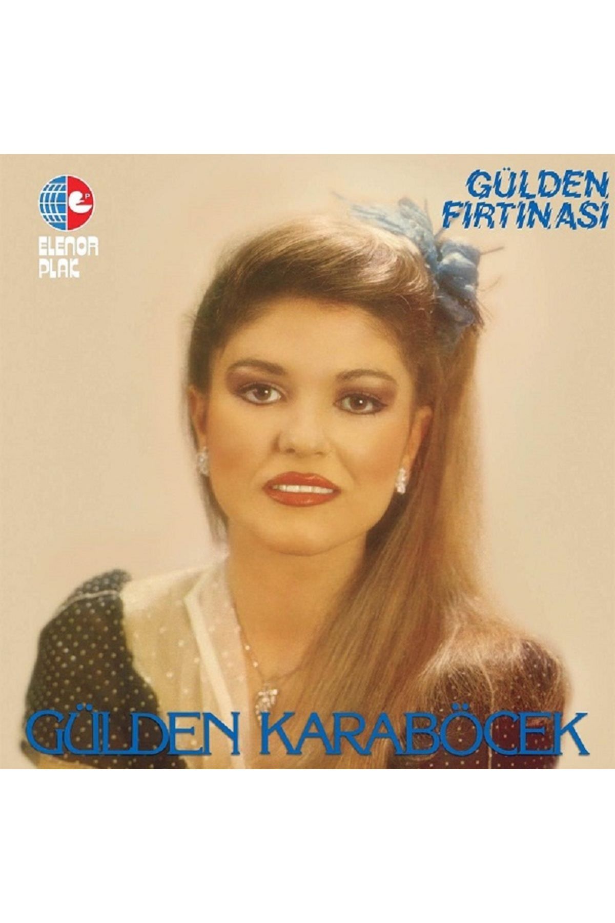HEY PLAK BOLU GÜLDEN KARABÖCEK GÜLDEN FIRTINASI 33 LÜK PLAK