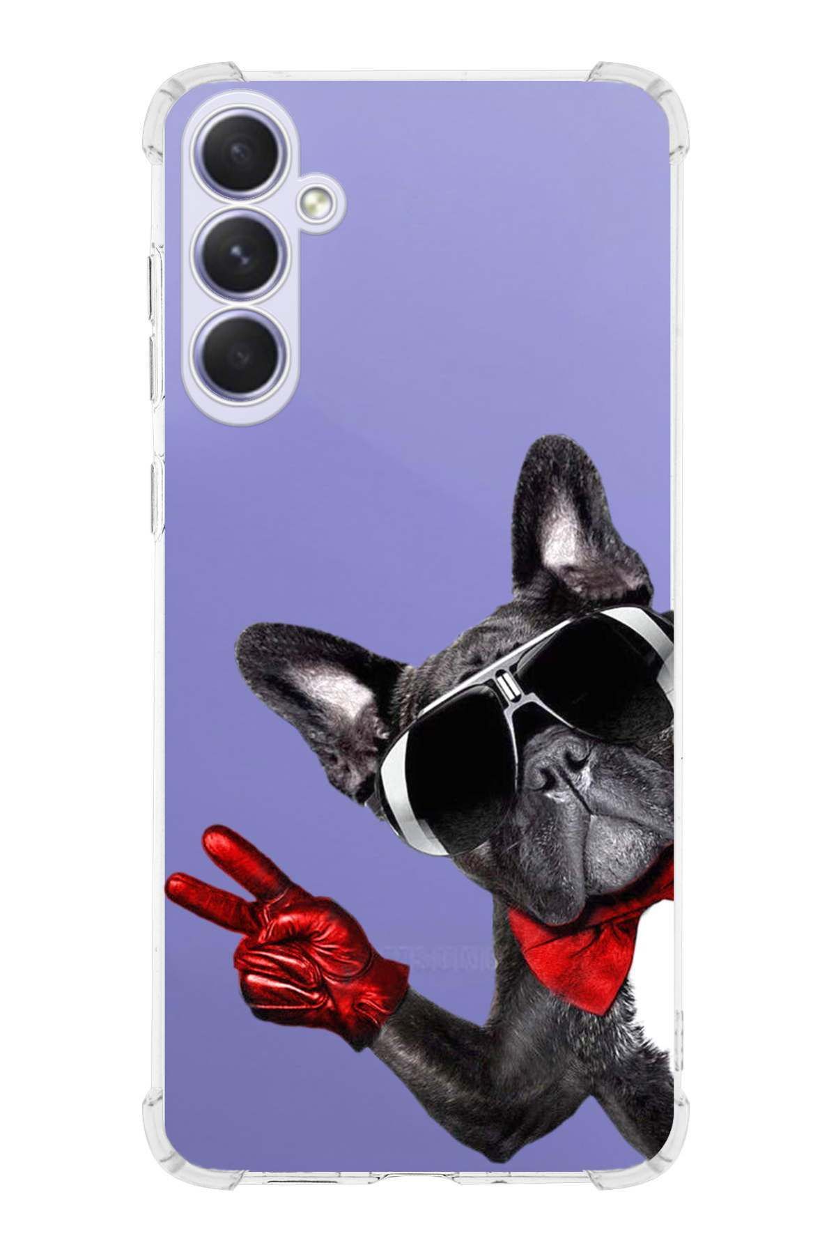PrintiFy PrinriFy Samsung Galaxy A56 Uyumlu Köpek 2 Baskılı Şeffaf Köşe Korumalı Antişok Kılıf
