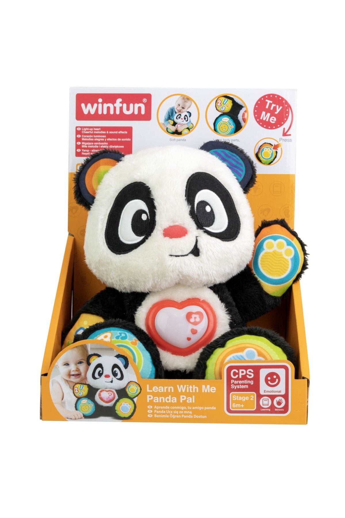 WINFUN-Panda learns with me 1