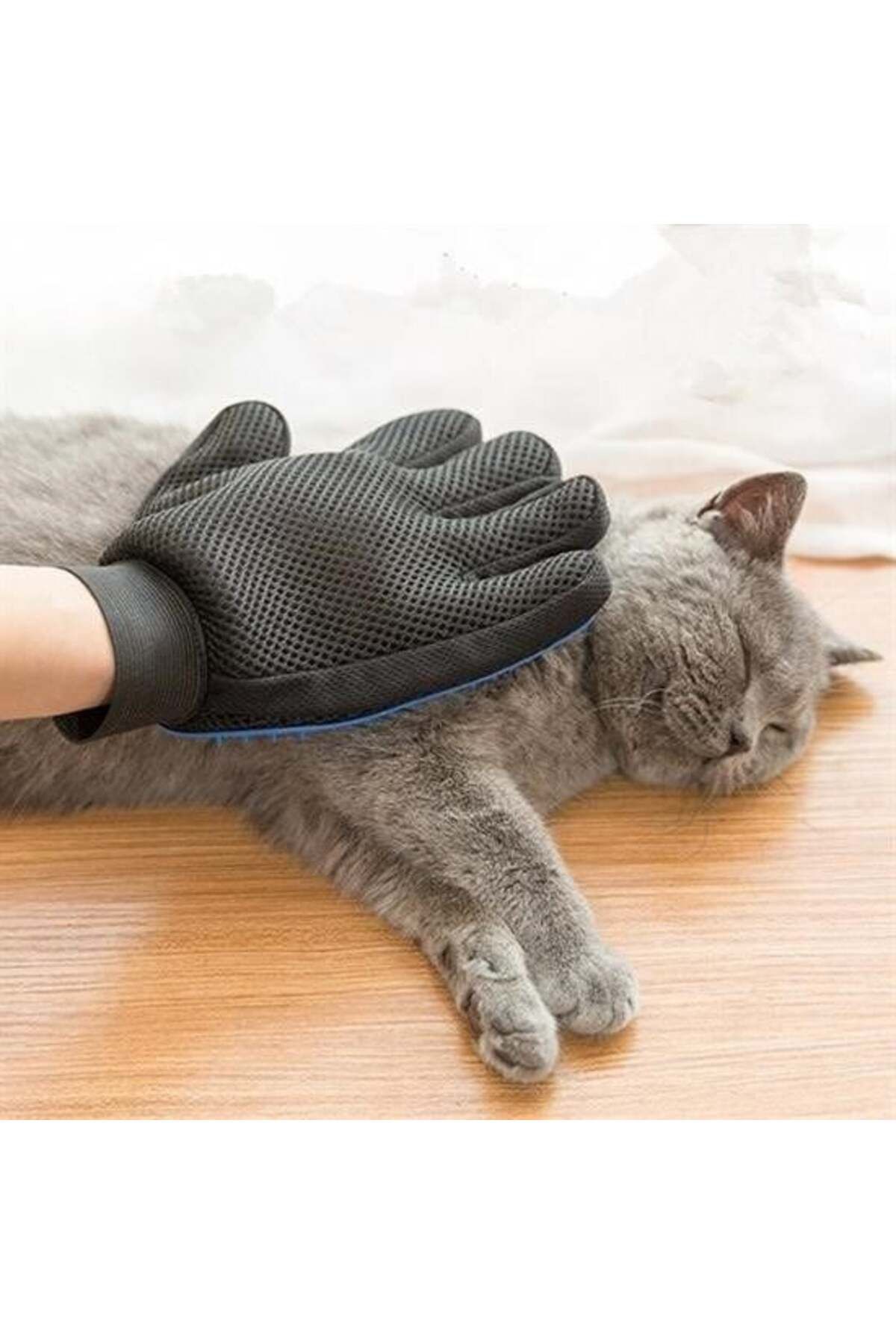 BFG Tüy Toplayan Kedi Temizleme Eldiveni Tüy Toplama Eldiveni