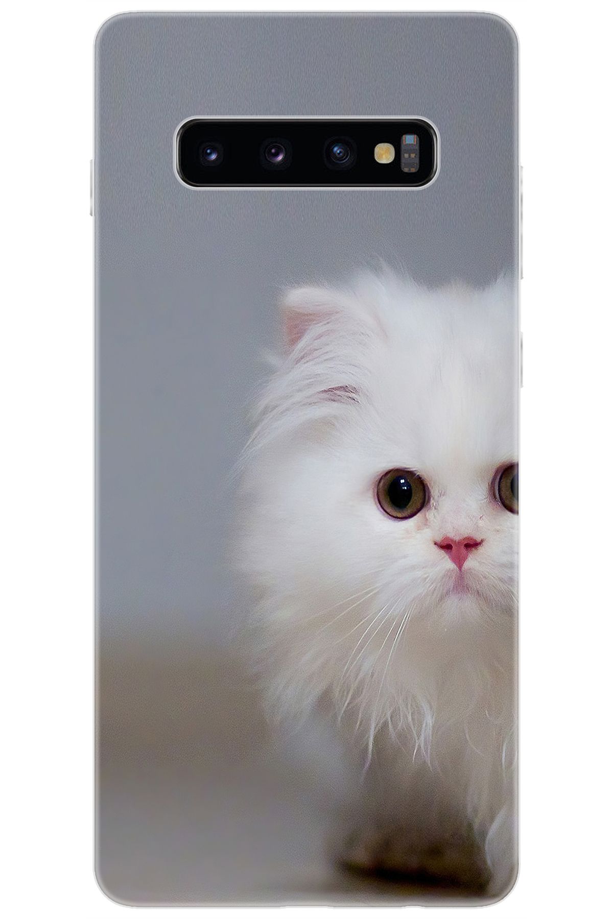 Ceppare Samsung Galaxy S10 PLUS (SM-G975F) Uyumlu Kılıf Desen Baskılı Silikon Beyaz Kedi STK:139 CP-vLM7tpW