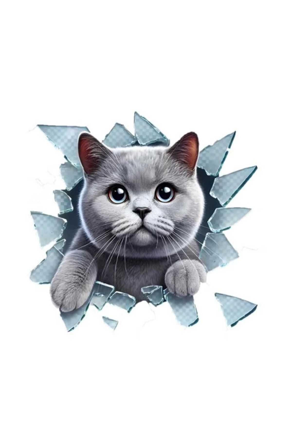 Angoravi Fulcar British Araç Stickerı