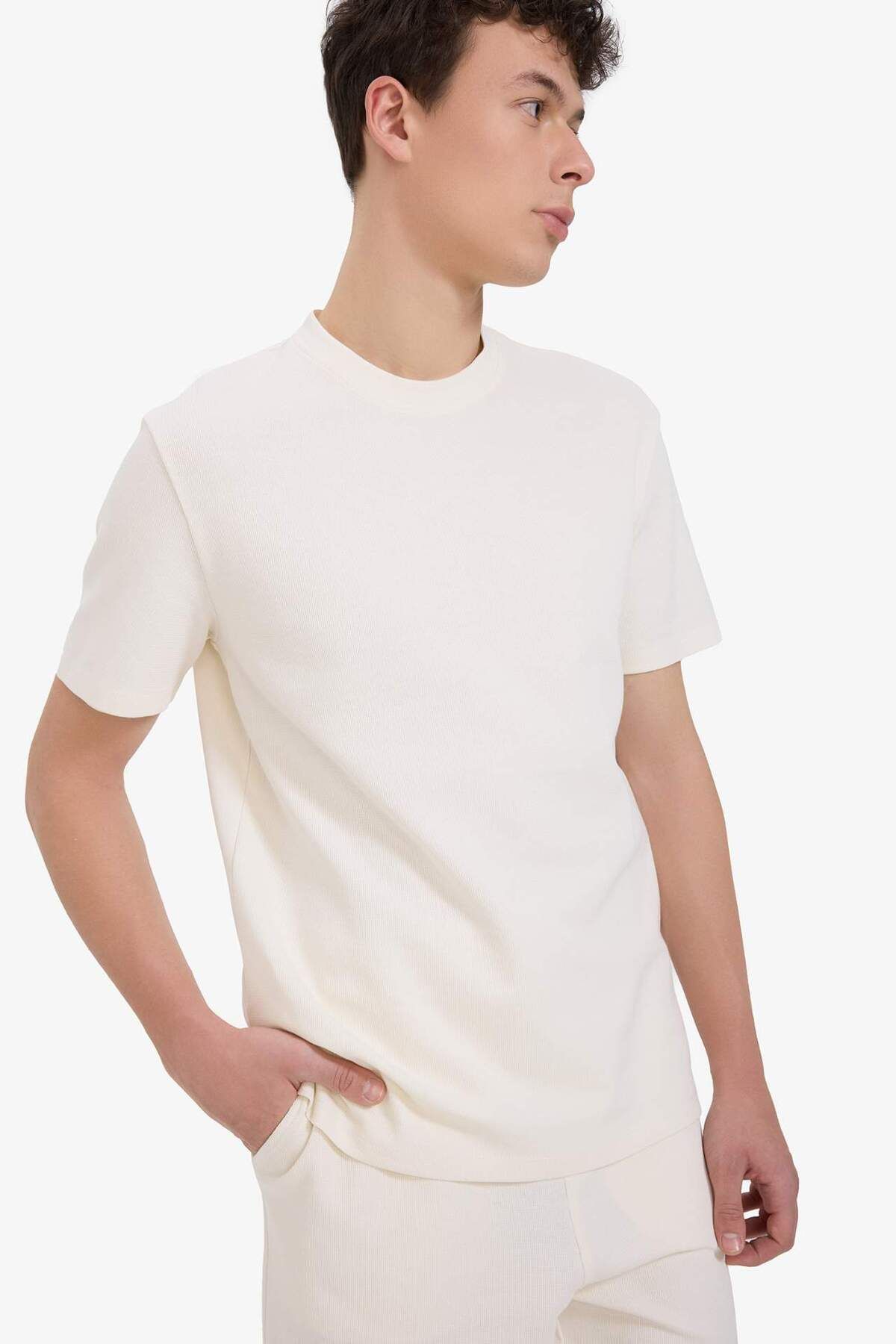 DeFacto Regular Fit Bisiklet Yaka Basic Düz Kısa Kollu Ağır Kumaş Tişört E2587AX25SM