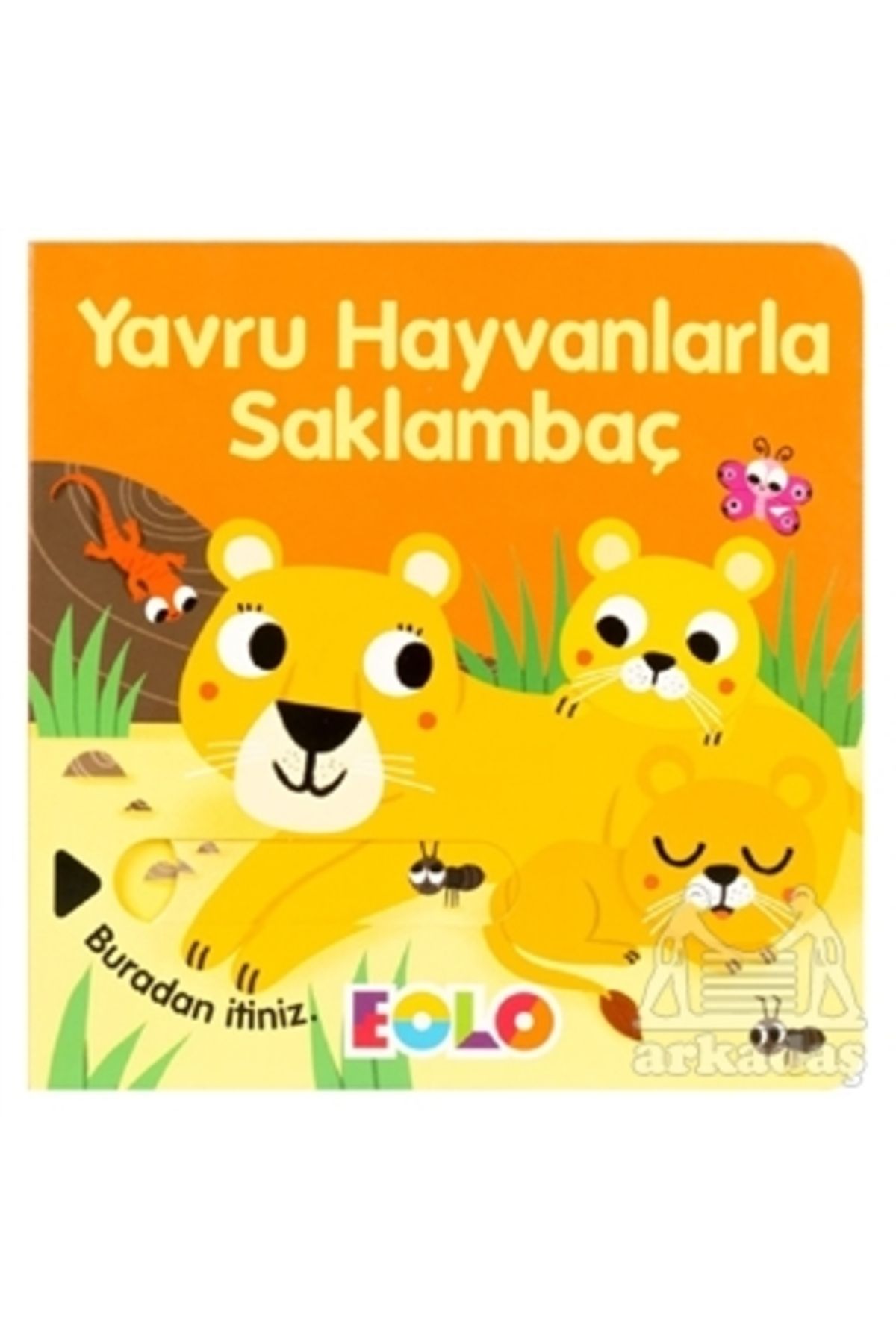 Eolo Yavru Hayvanlarla Saklambaç