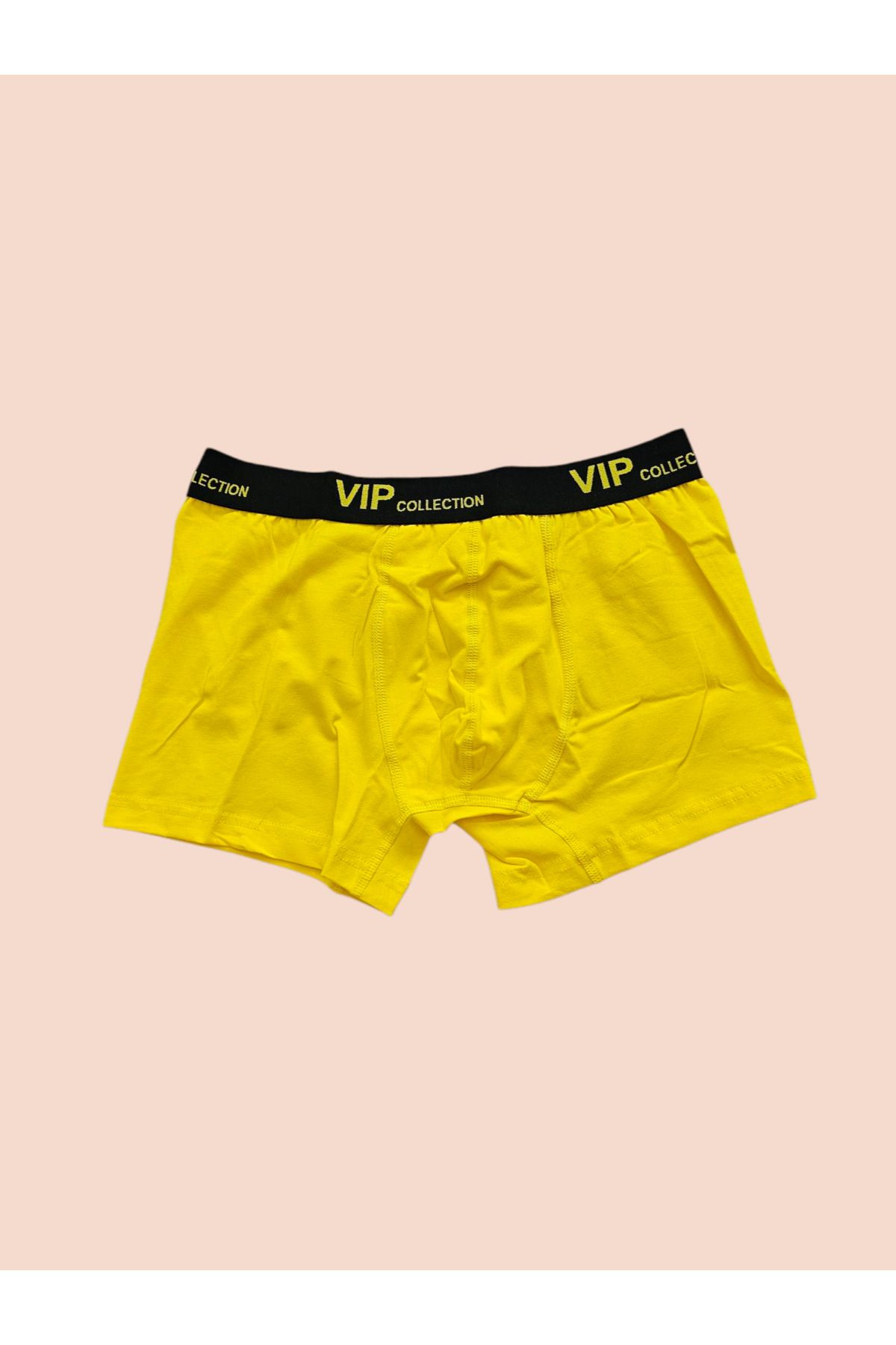 ZİBENS VIP ERKEK BOXER - CANLI RENKLER