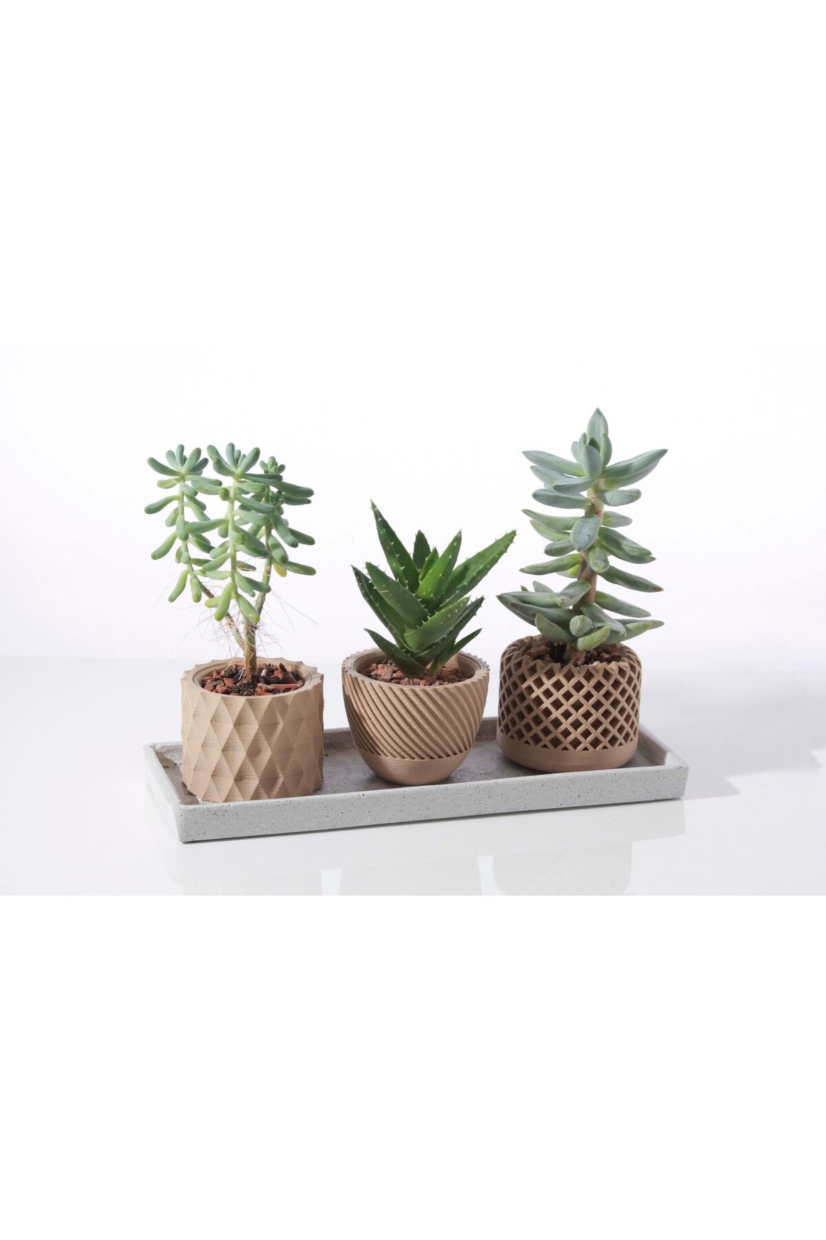 Rivora Modern Desenli 3’lü Saksı Seti