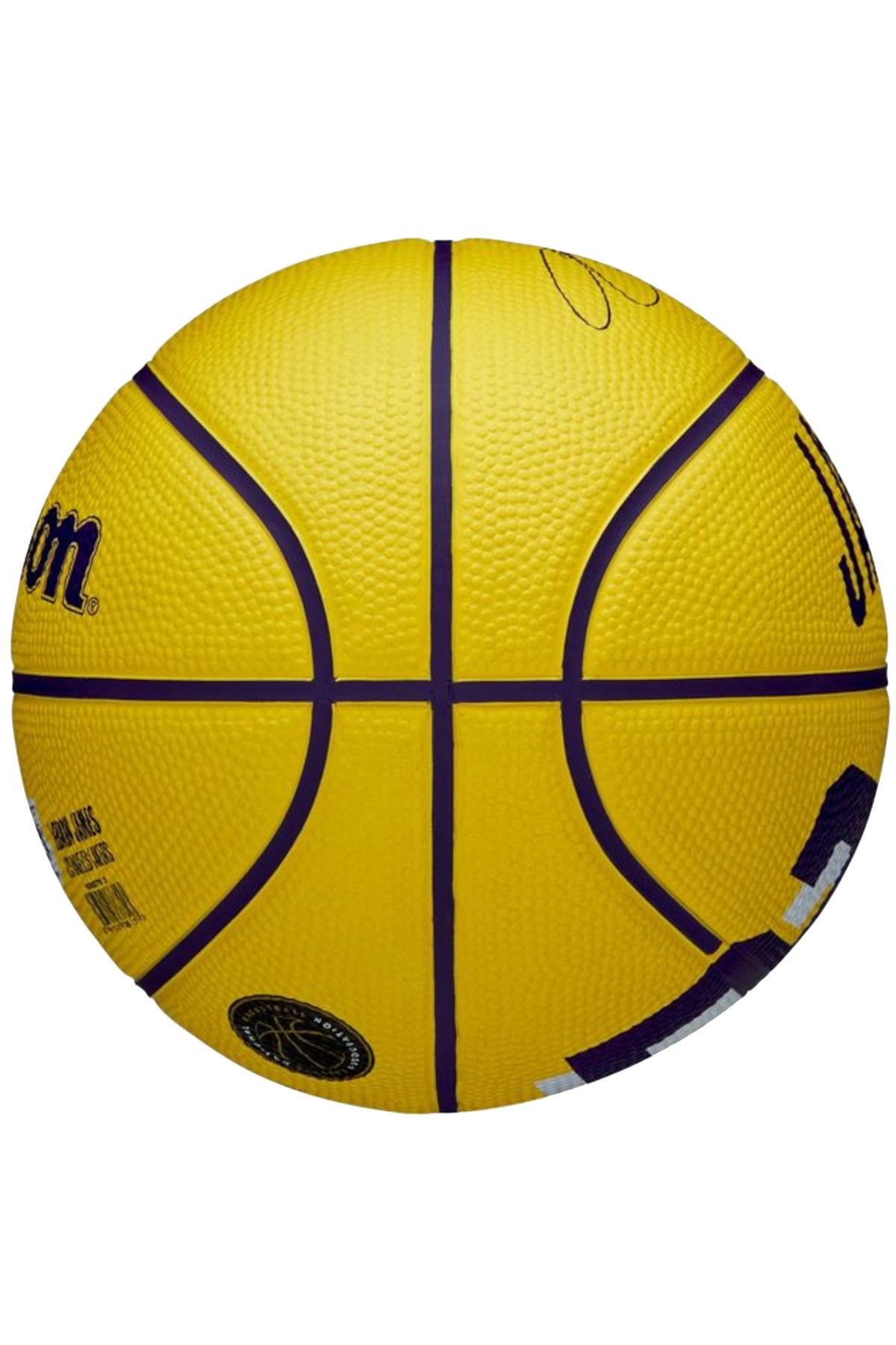Wilson-Mini minge NBA Player Icon LeBron James, minge de baschet unisex 2