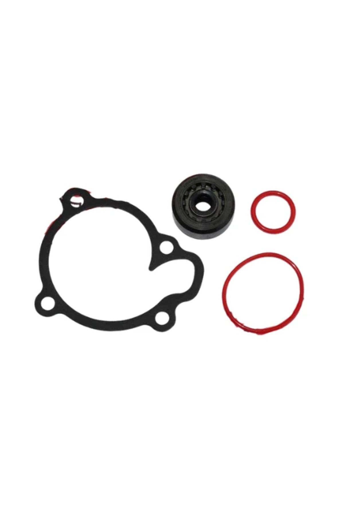 TÜRKMOPET Yamaha Nmax 125 155 Devir Daim Keçesi