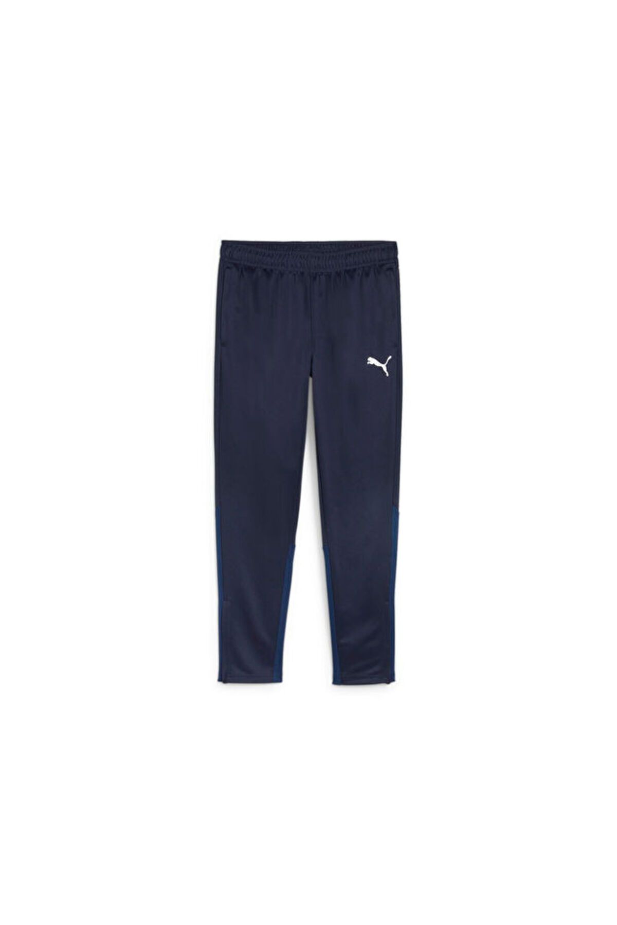 Puma Teamgoal Training Pant Erkek Futbol Antrenman Eşofman Altı 65863906 Lacivert
