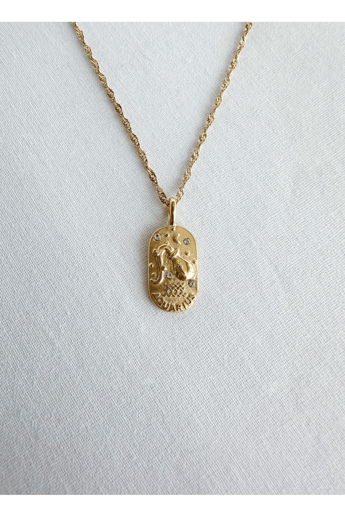 FİL Çelik Kolye - Aquarius - Kova - Gold