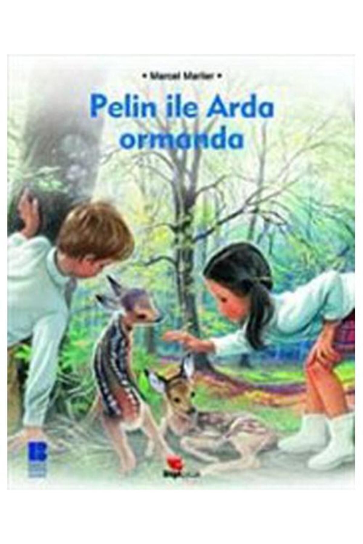 Bilge Kültür Sanat Pelin ile Arda Ormanda