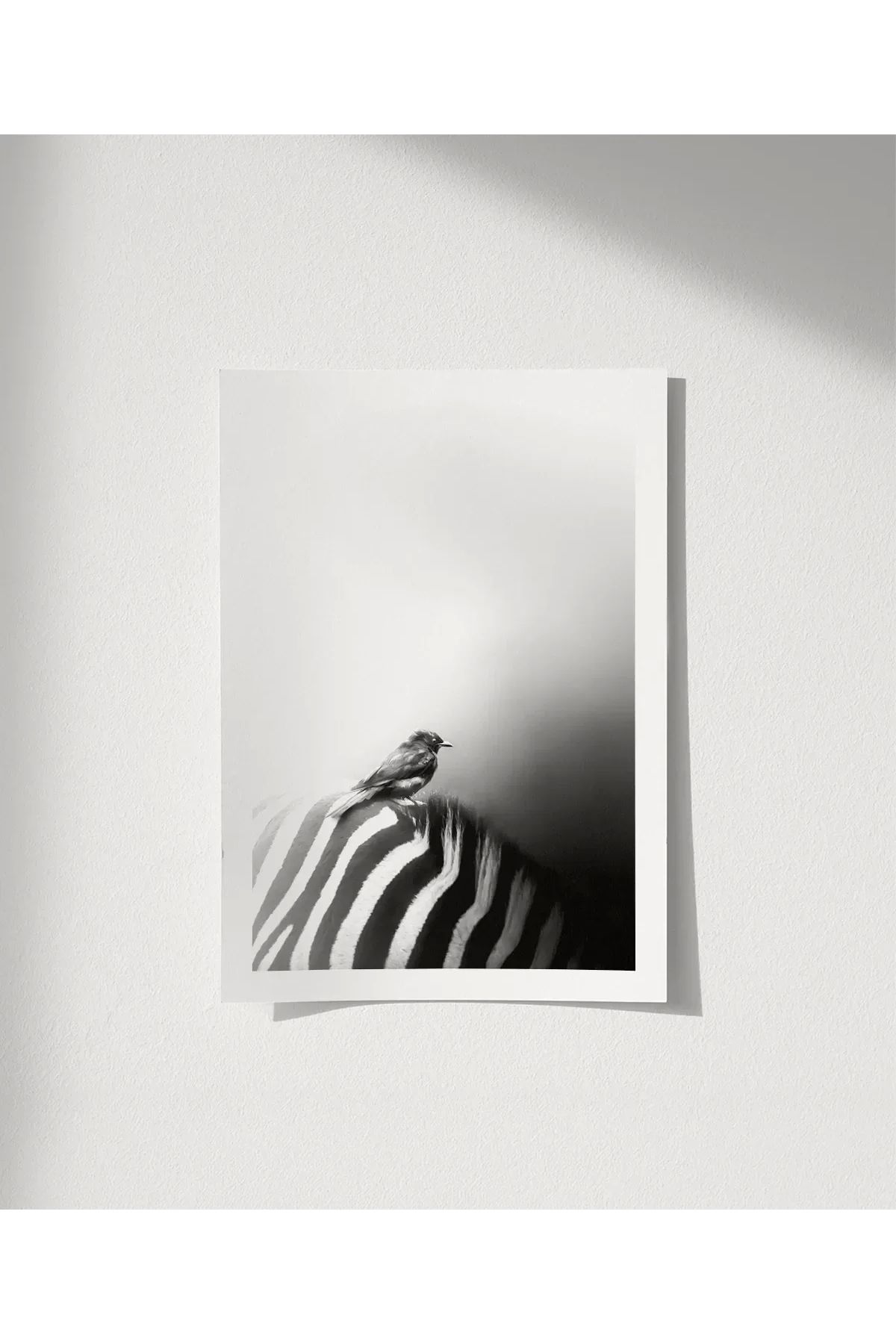 VOGLOO Çerçevesiz Poster Çizgilerin Üzerinde