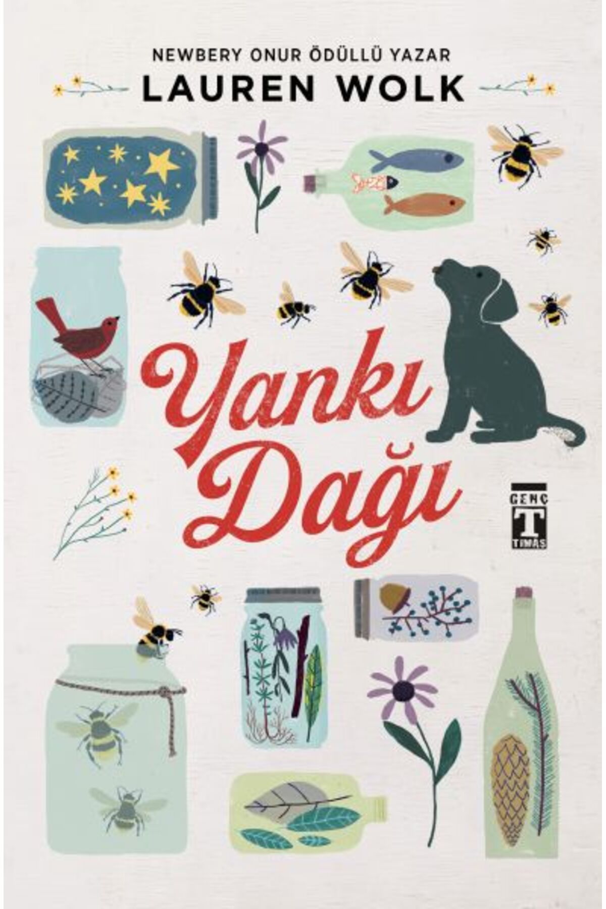 Destek Yayınları Yankı Dağı