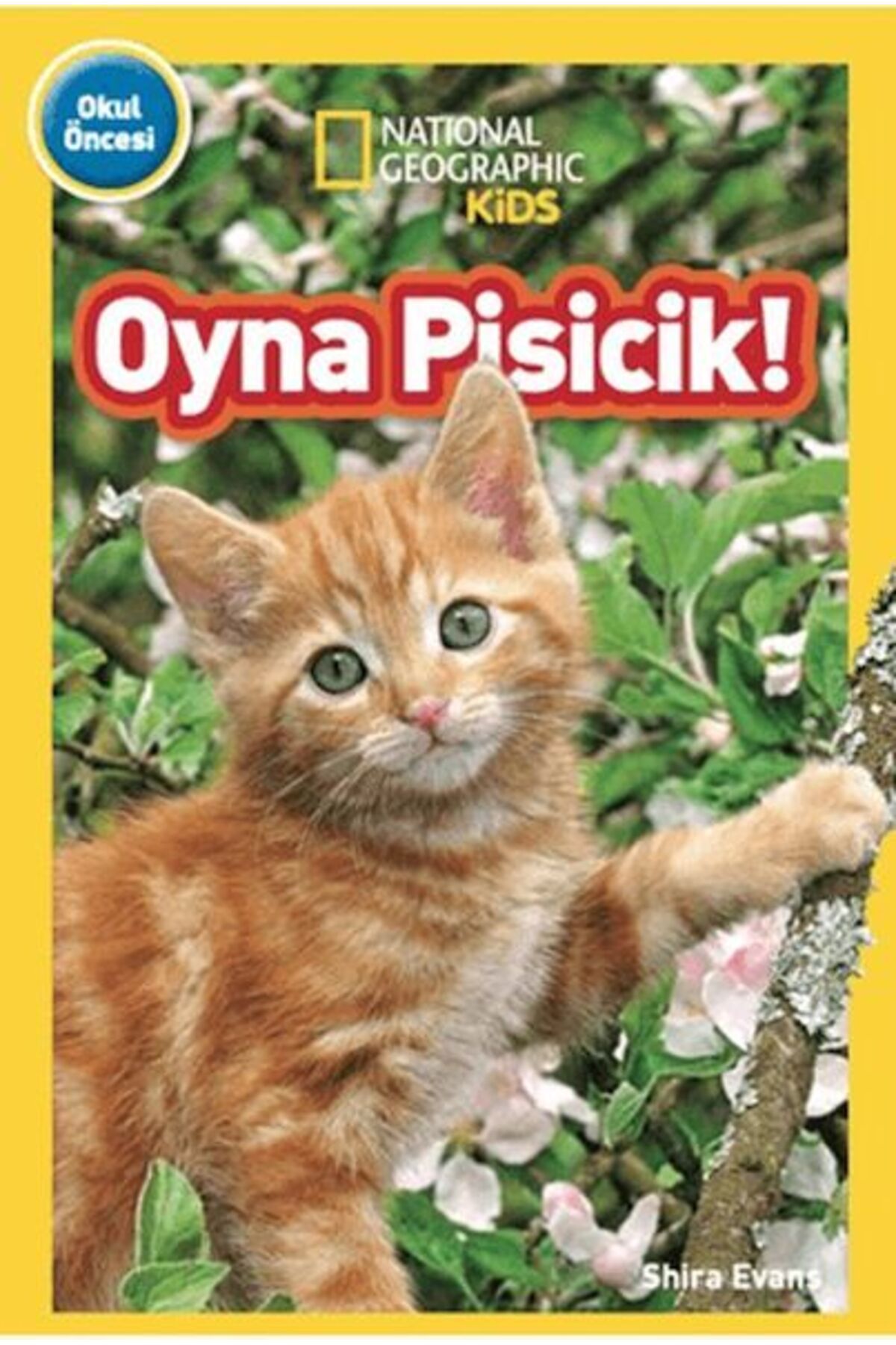 Destek Yayınları Kids Oyna Pisicik
