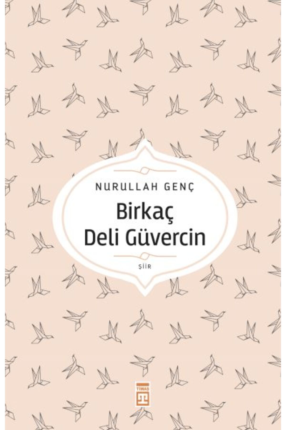 Destek Yayınları Birkaç Deli Güvercin