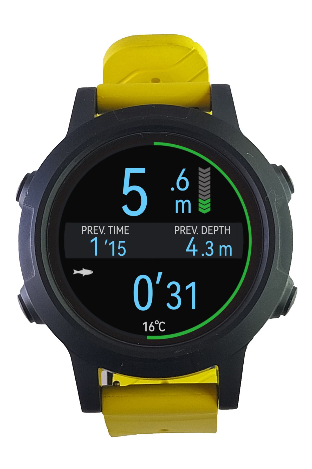 کامپیوتر غواصی MS1 MICROSUB FREE DIVE COMPUTER کمربند سیاه Mikrosub