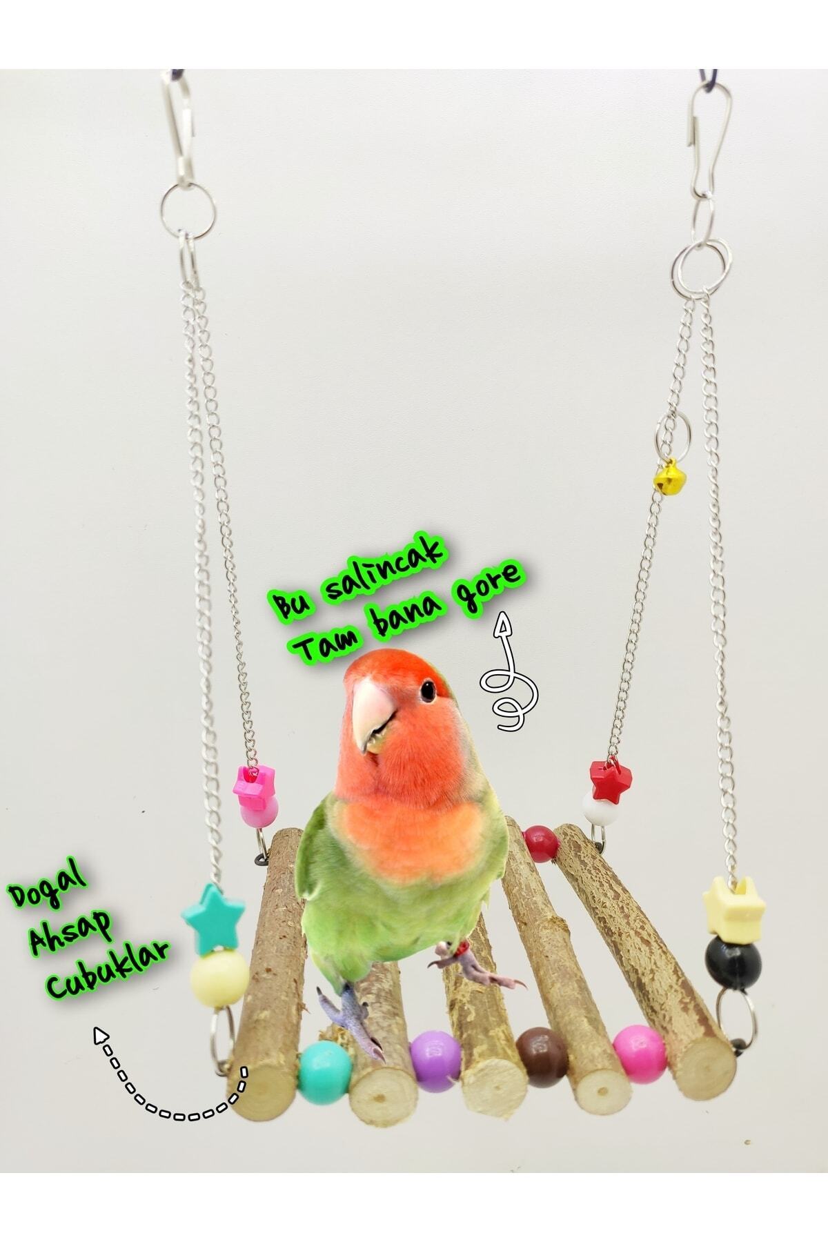 ozzipetshop Sevda Cennet Papağanı Dogal Ahsap Kopru Salincak