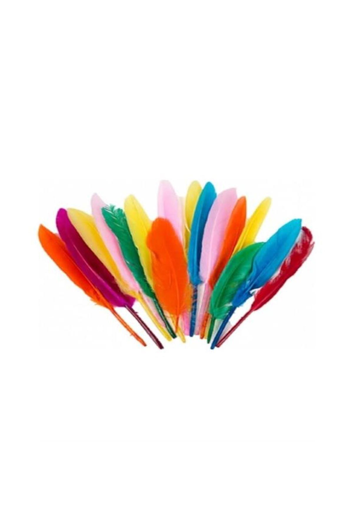 Art Tone Puti KUŞ TÜYÜ KARIŞIK RENKLİ 10 LU 24 PAKET 4742