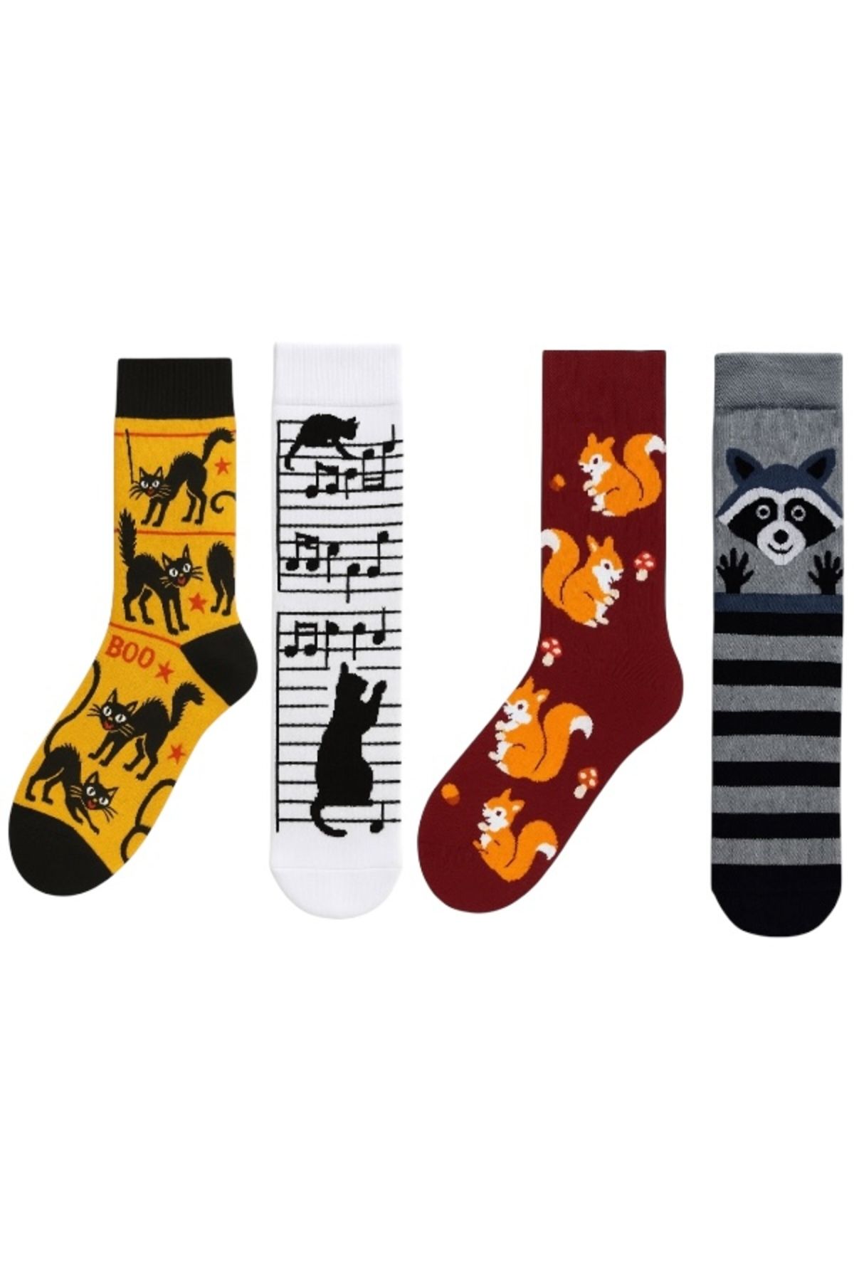 Goma Goma Socks Desenli Figürlü Karakterli 4 lü Renkli Eğlenceli Unisex Çorap Seti Kedi Müzik Sincap Rakun Kombin