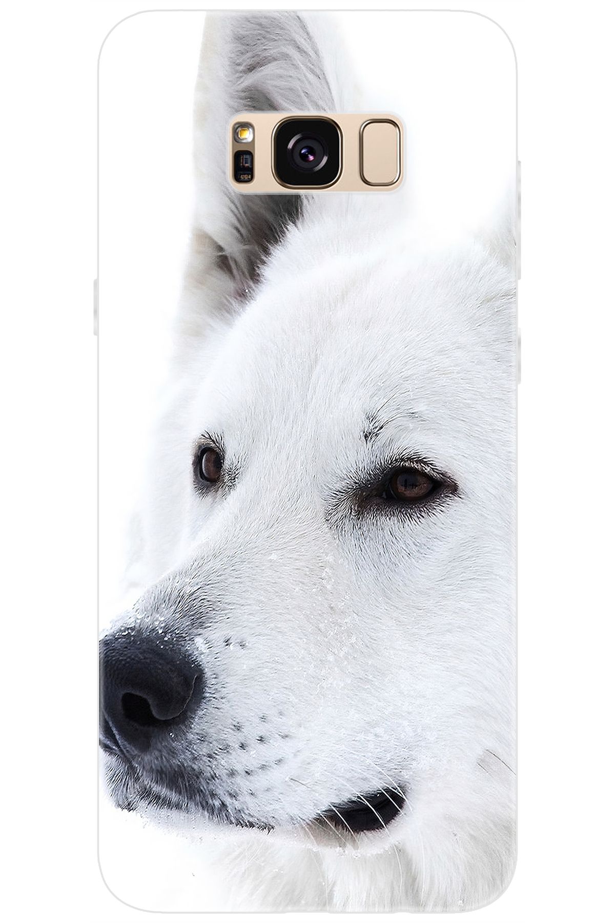 Ceppare Samsung Galaxy S8 PLUS (SM-G955F) Uyumlu Kılıf Desen Baskılı Silikon Beyaz Kurt STK:169 CP-Eh323Tf