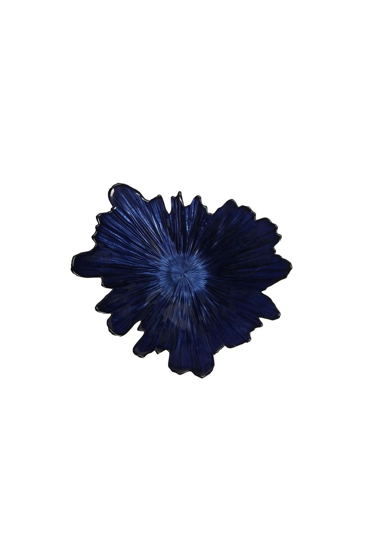 YenisiniAl Porland Coralline Kase 31cm