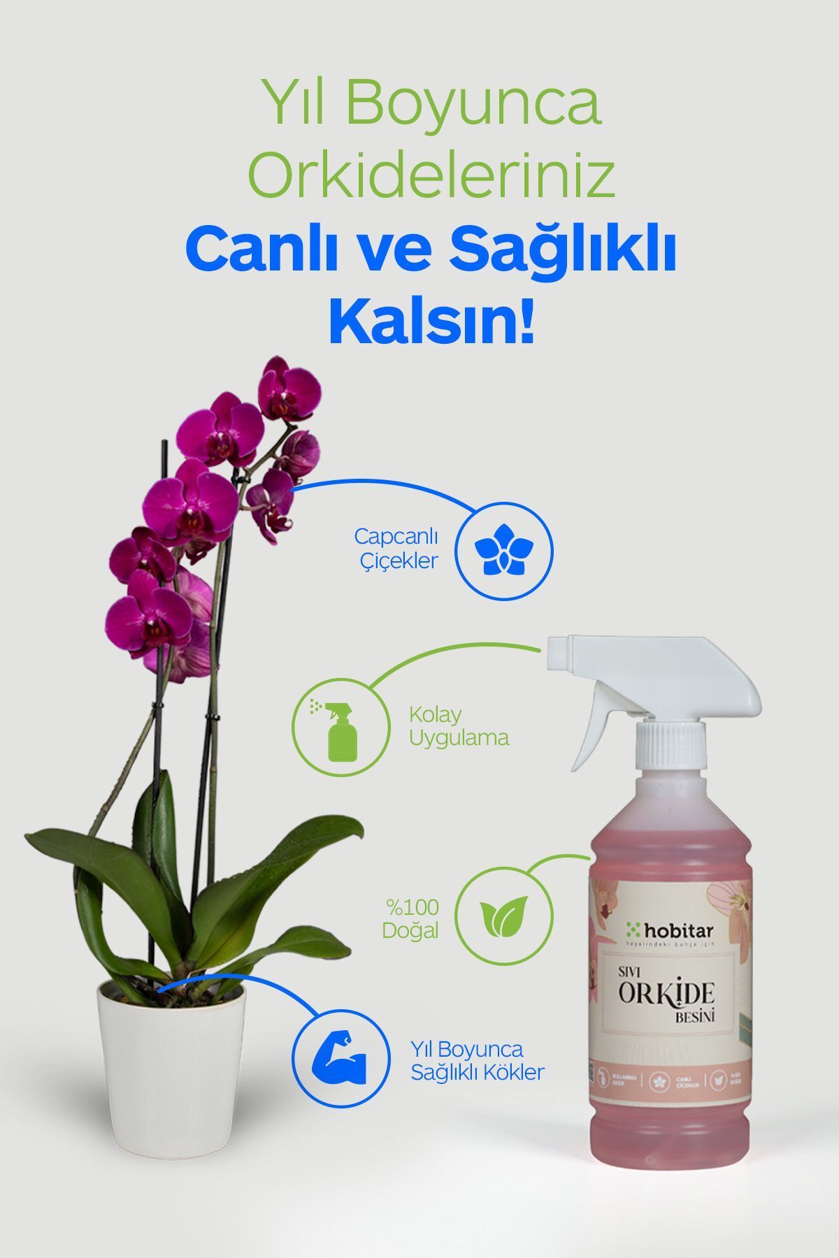 Genta Hobitar Orkide Besini Vitamini 500 ml - %100 Doğal, Çiçeklendirici ve Köklendirici Formül