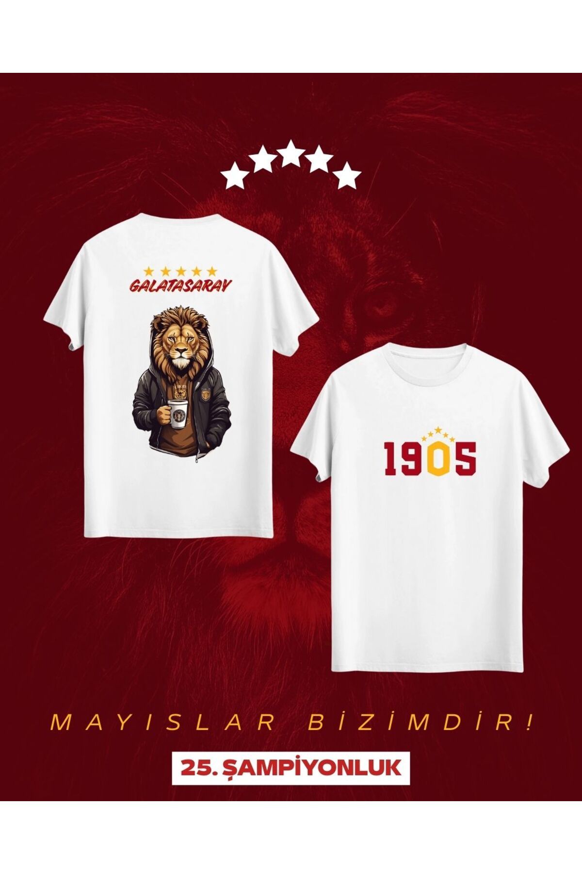 Qool Collection Galatasaray Hoodie Aslan Tişörtü – 1905 Özel Tasarım (25. Şampiyonluk)