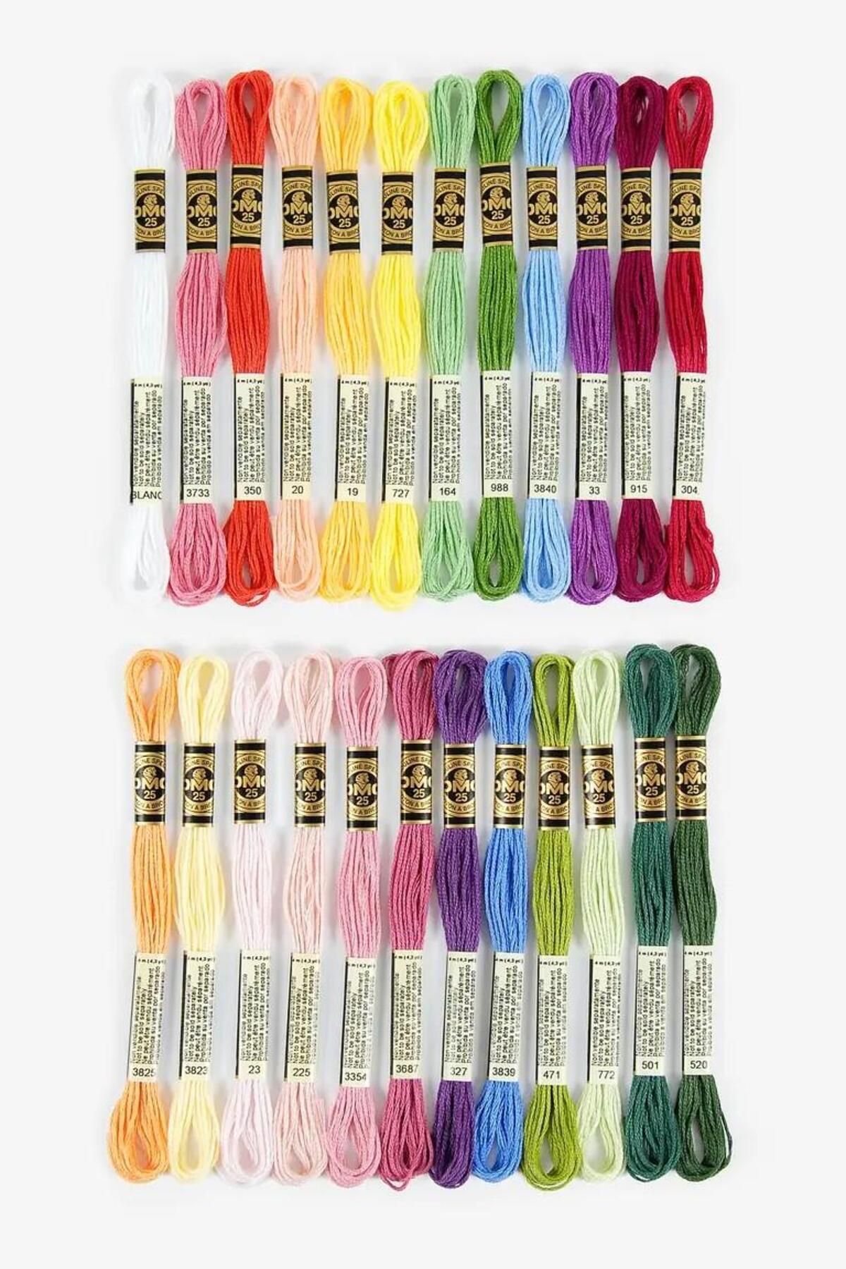 Dmc Muline 24'lü Set - Çiçek Renkleri