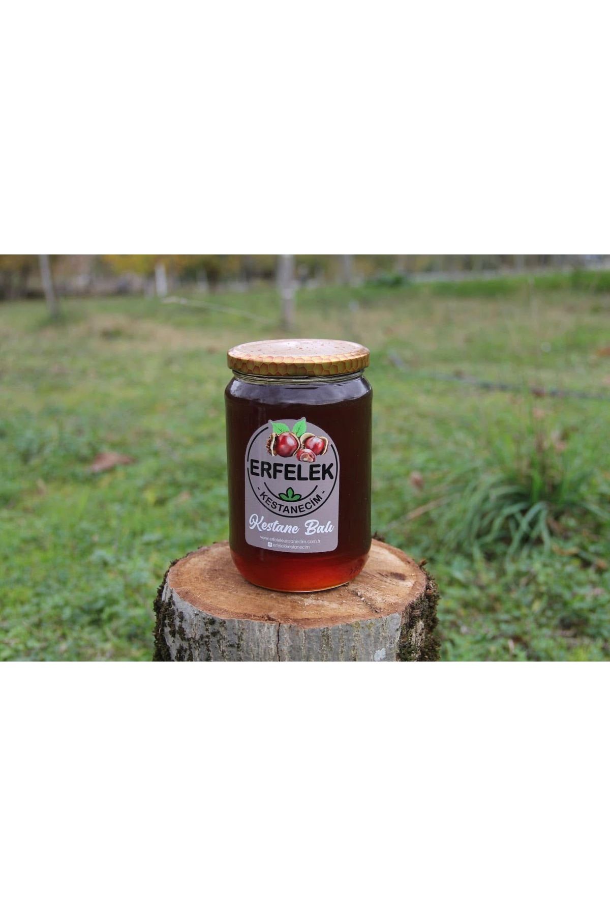ERFELEK KESTANECİM Erfelek Yöresel Kestane Balı 1 Kg
