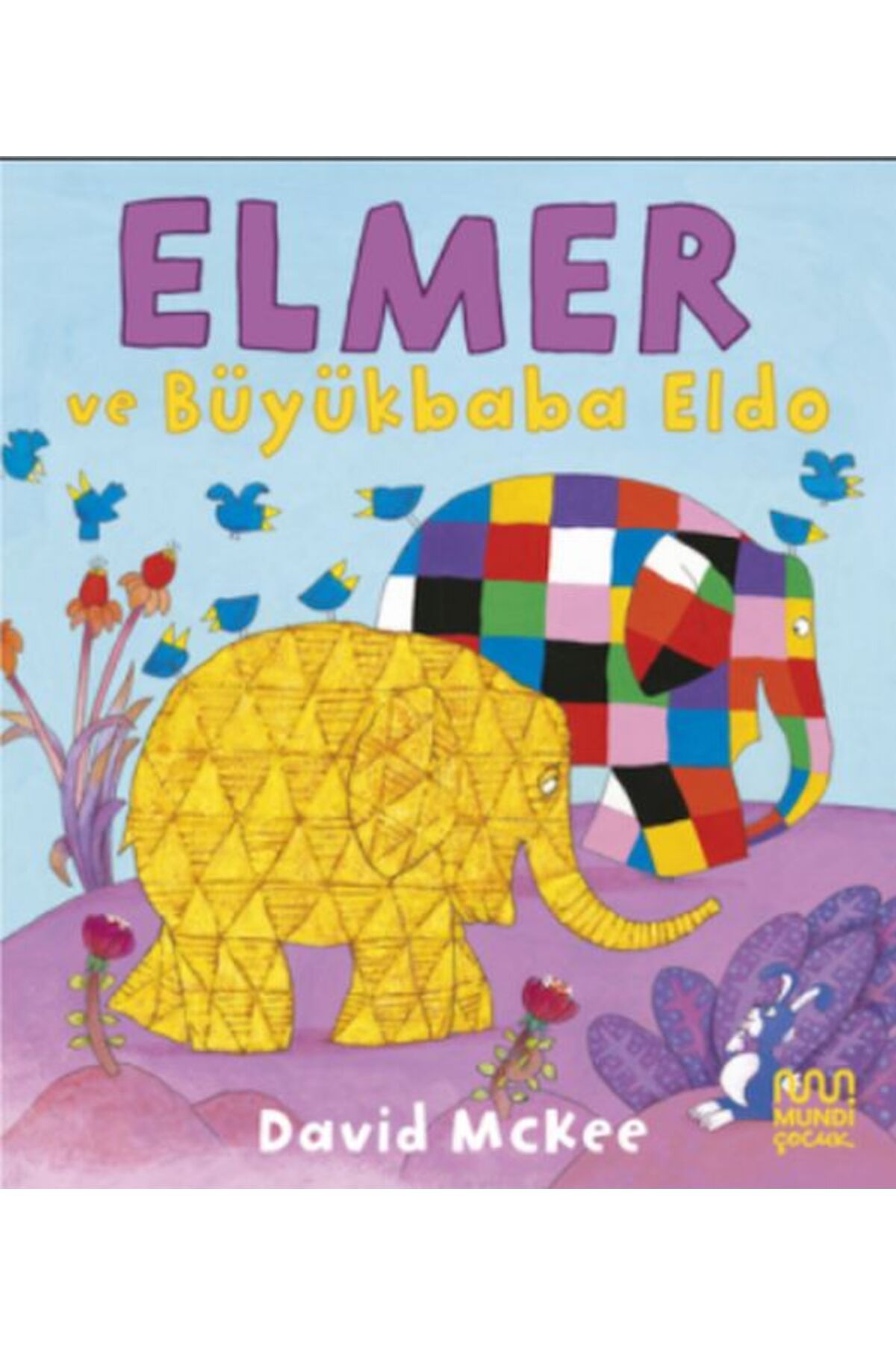 Destek Yayınları Elmer ve Büyükbaba Eldo