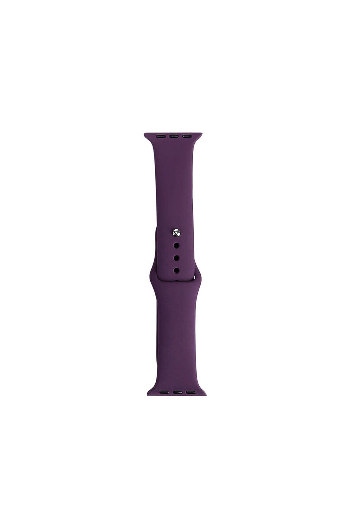HİGUERA Watch 44mm Band Serisi Klasik Kordon Silikon Strap Kayış-Violet