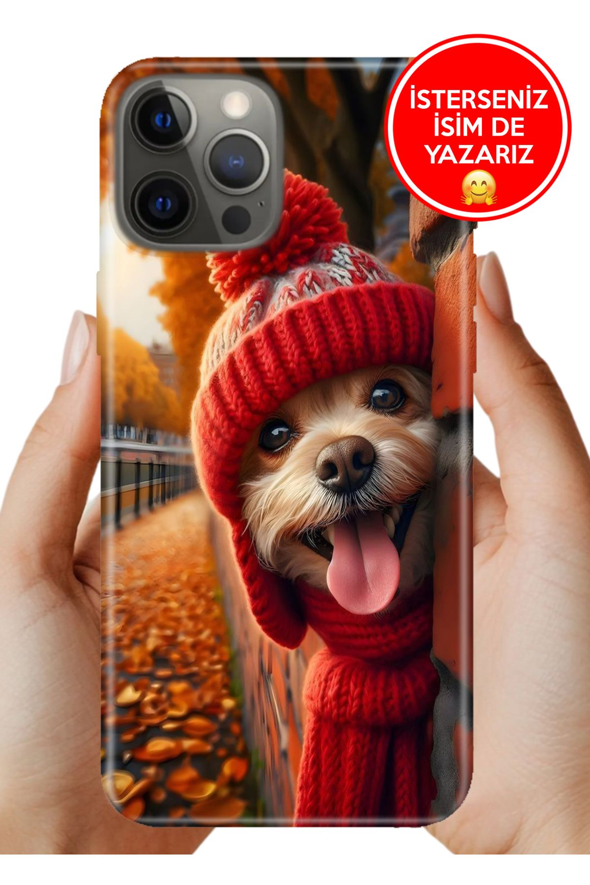 Cekuonline iPhone 12 Pro Max 6.7 5G Kılıf Kamera Korumalı Full Desen Arka Silikon Kuçu Kuçu