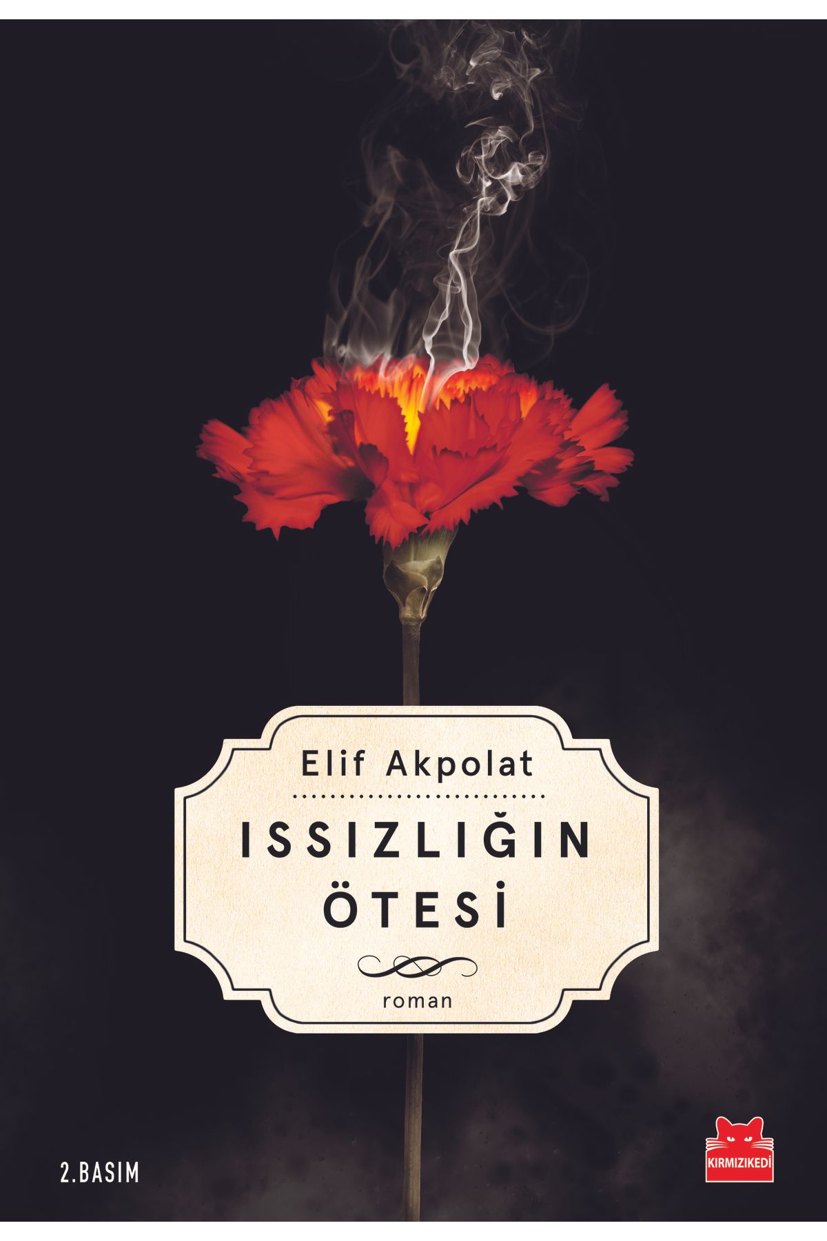 Kırmızı Kedi Yayınları Issızlığın Ötesi