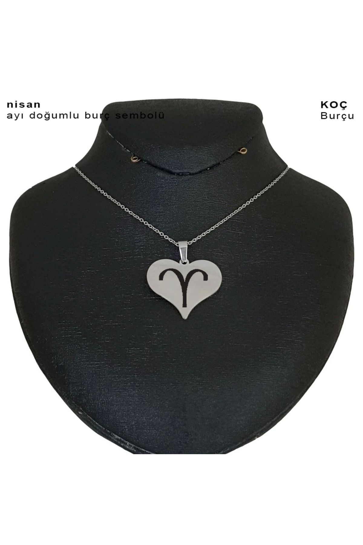 ARCHINO GOLD Nisan Ayı Doğumlarına Özel Kalp Motifli 925 Ayar Gümüş Plakalı Zincirli Hediyelik Kolye-456ay-gümüş