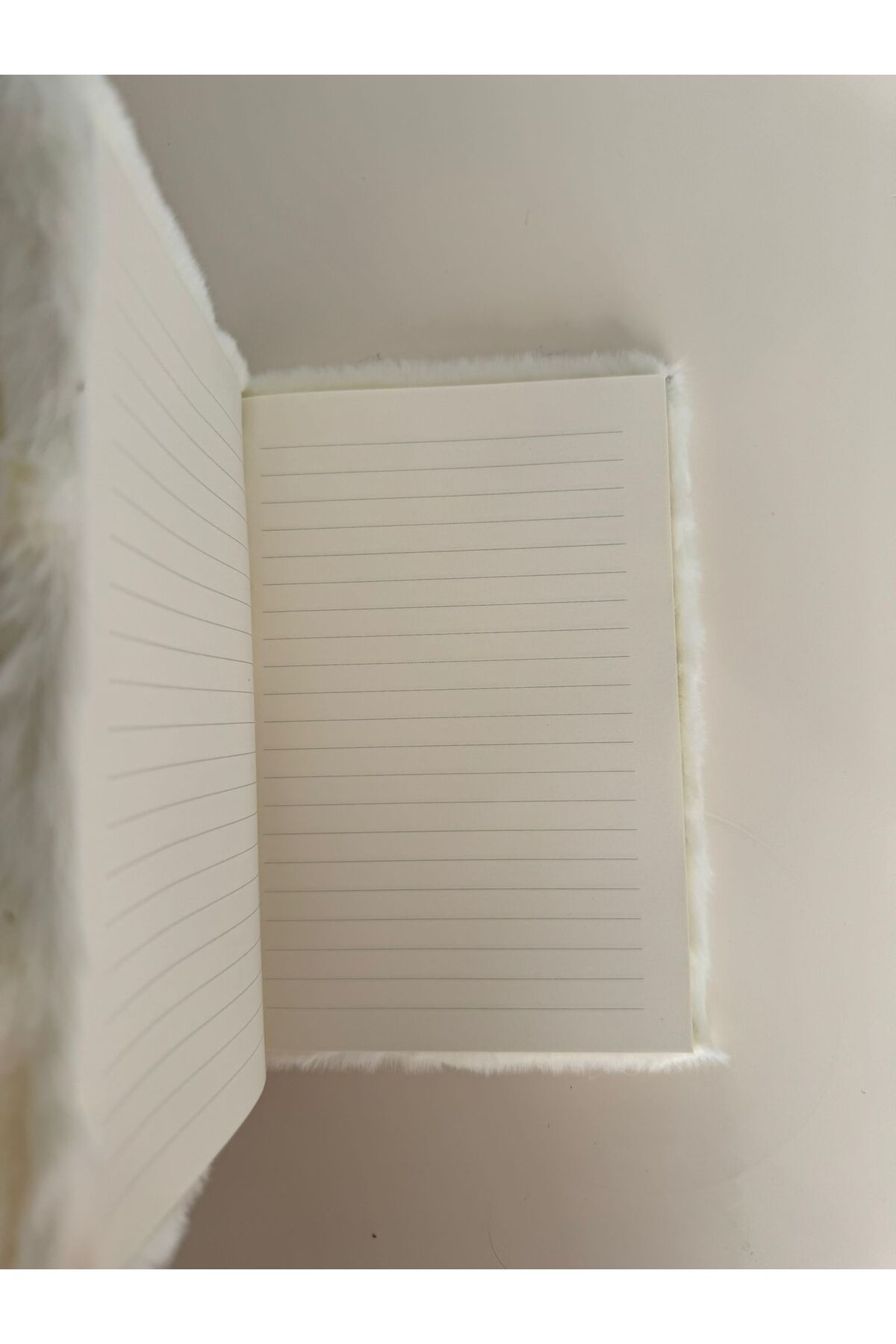 PARLAK EVREN-Plush Notebook with Cat 2