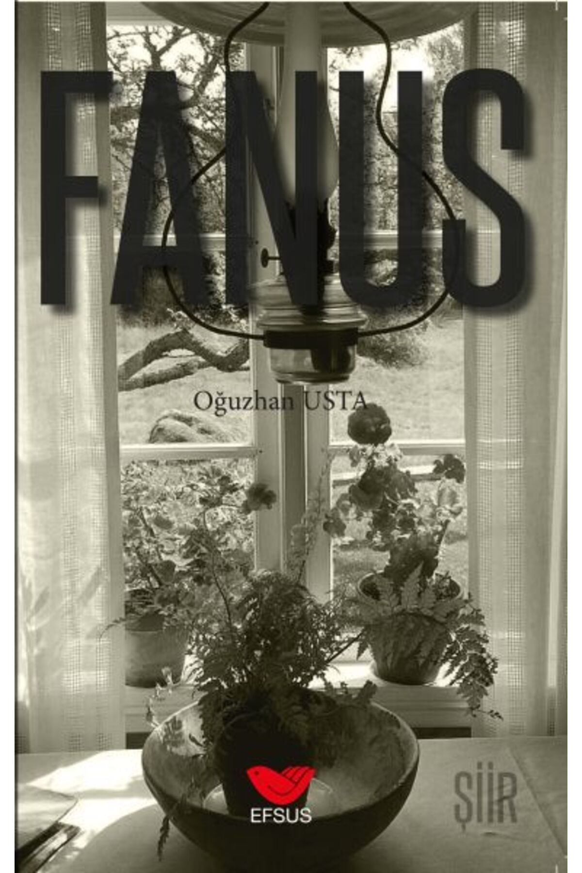 Destek Yayınları Fanus