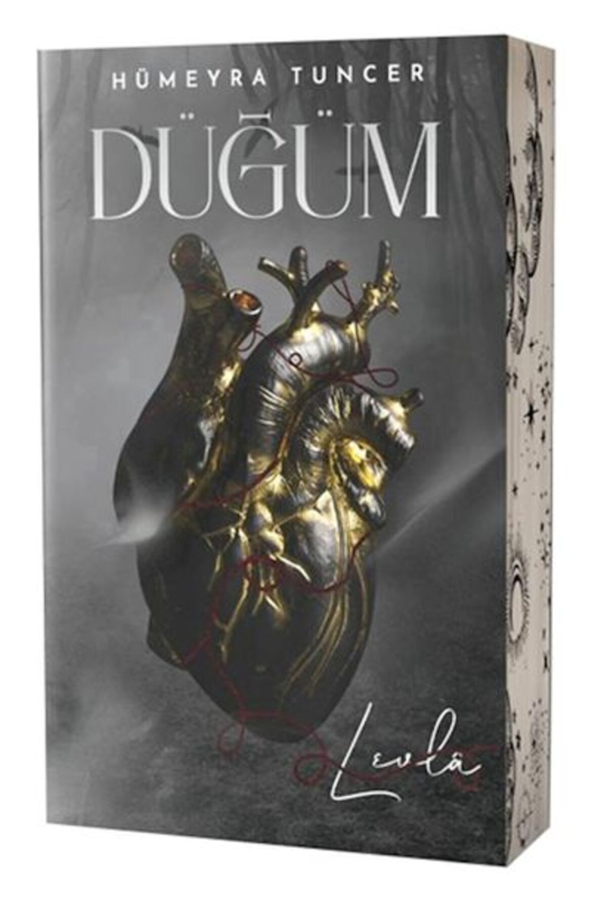 Destek Yayınları Düğüm Levl Yan Boyamalı