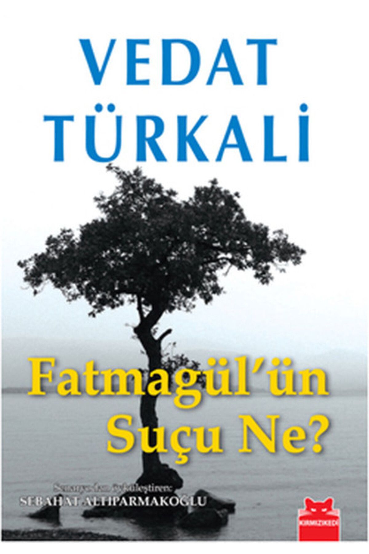 Destek Yayınları Fatmagülün Suçu Ne